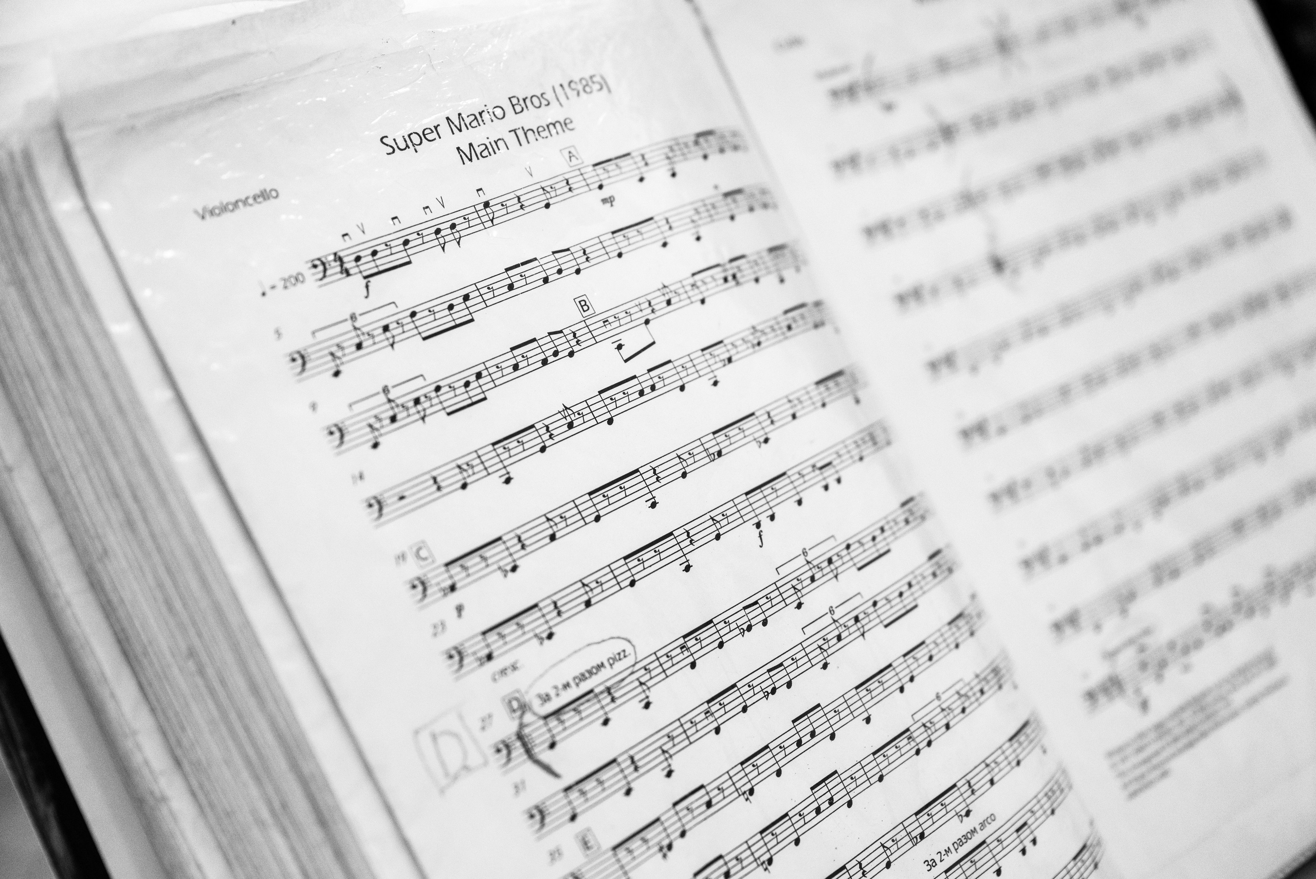 Алина & Вадим. Свадебный фотограф в Москве Александр Белозерцев