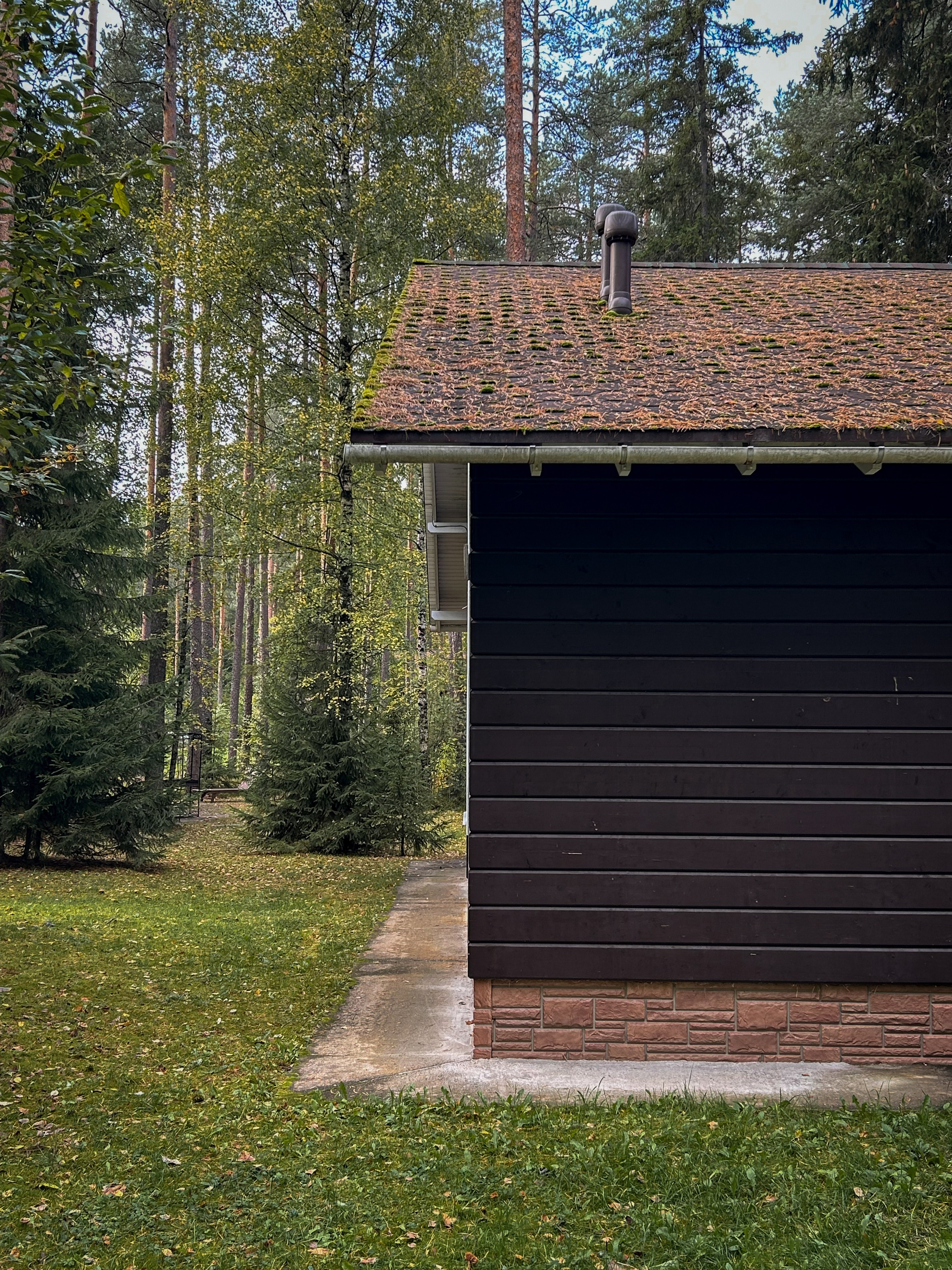 Лето, ах лето. Фотокружок «Видоискатель» ГБОУ СОШ № 291