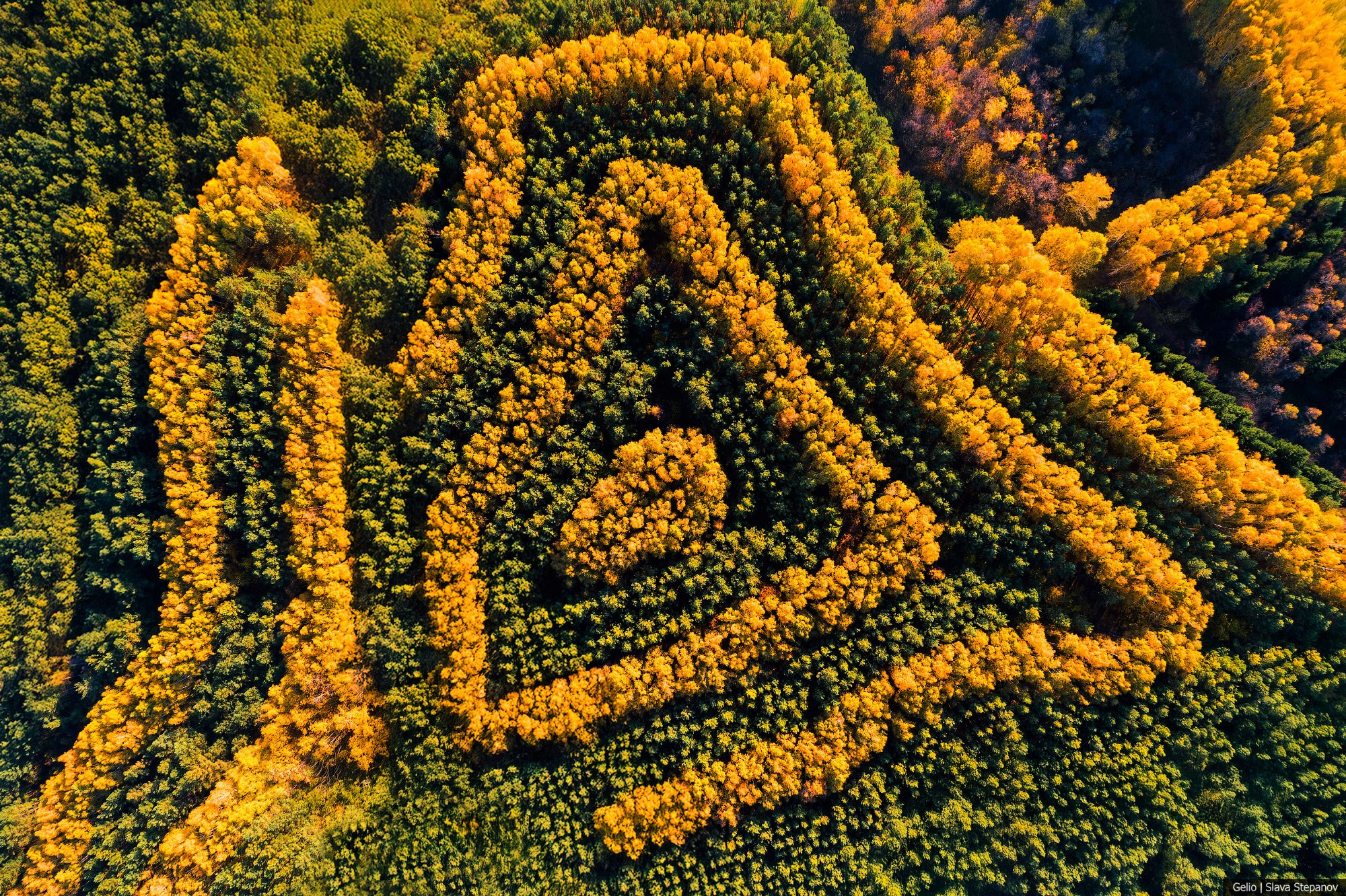 Природа. Фотограф Слава Степанов, Gelio