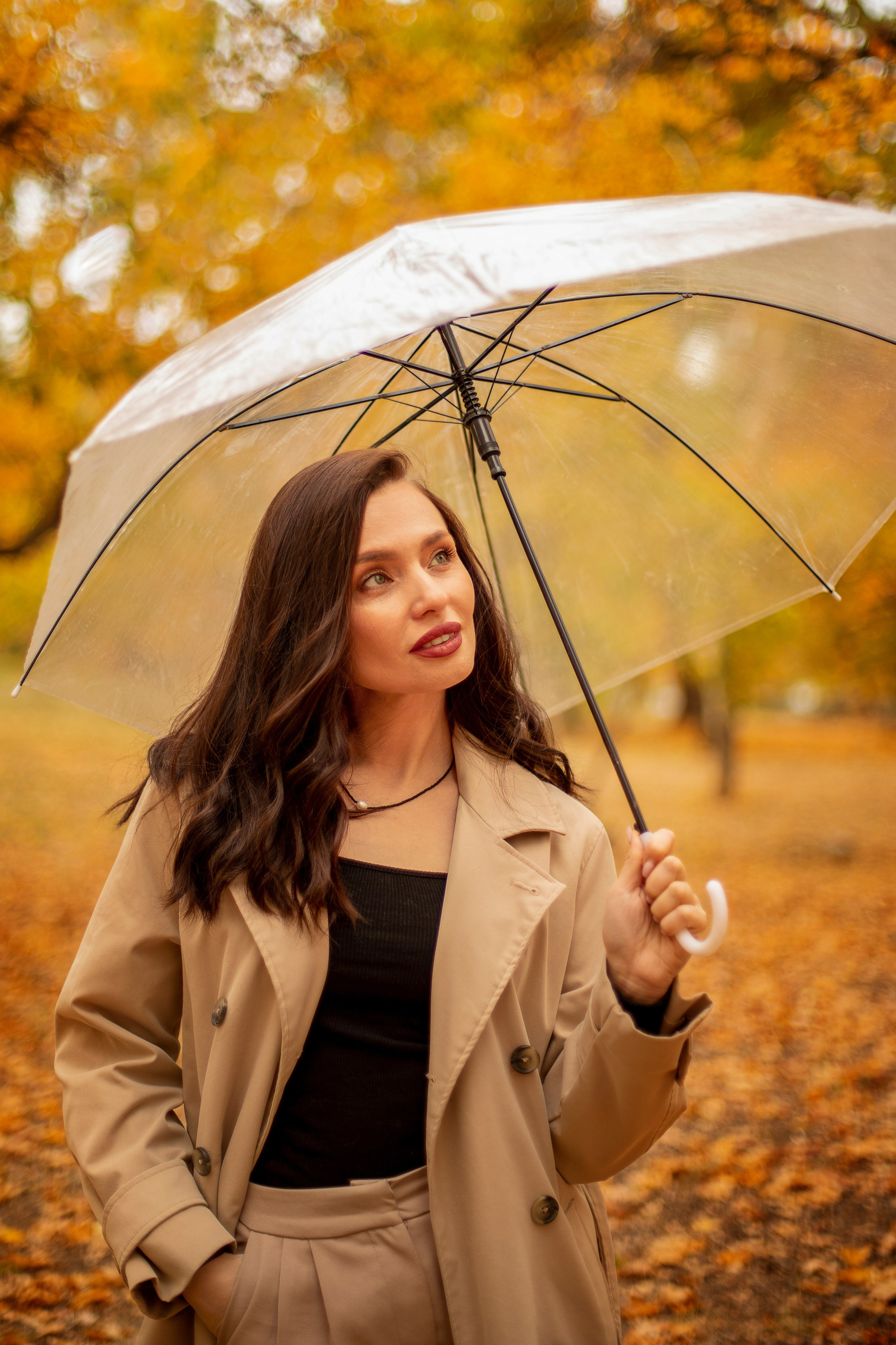 Девушка в бежевом пальто с прозрачным зонтом в осеннем лесу