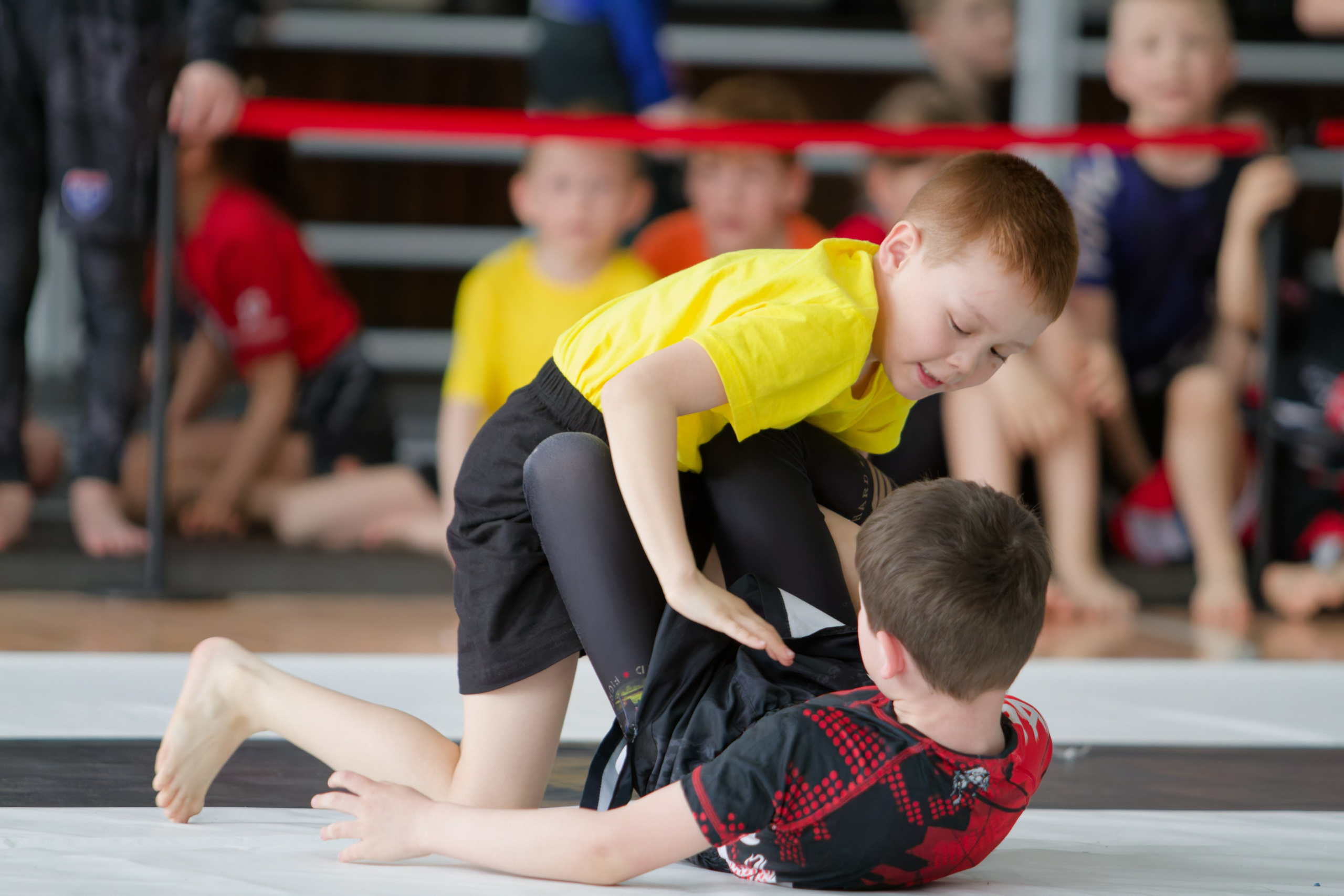 Борьба. Джиу-джитсу 26.04.2025. Репортажный и спортивный фотограф в г. Пермь Зильберг Павел