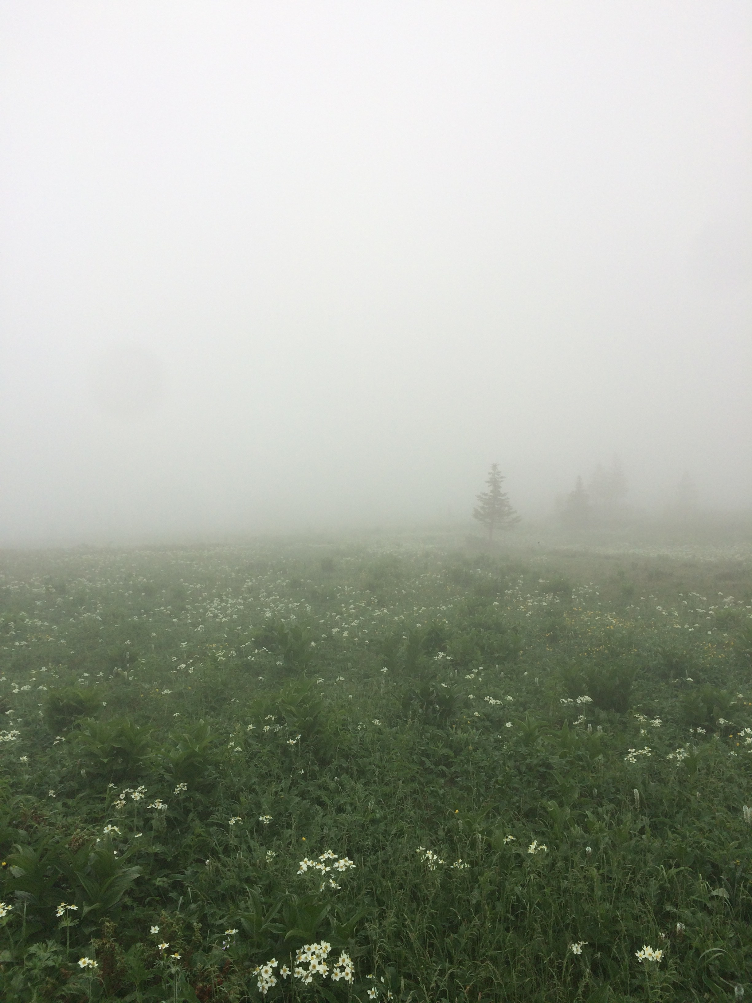 Тур на Иремель из Уфы — Время Приключений