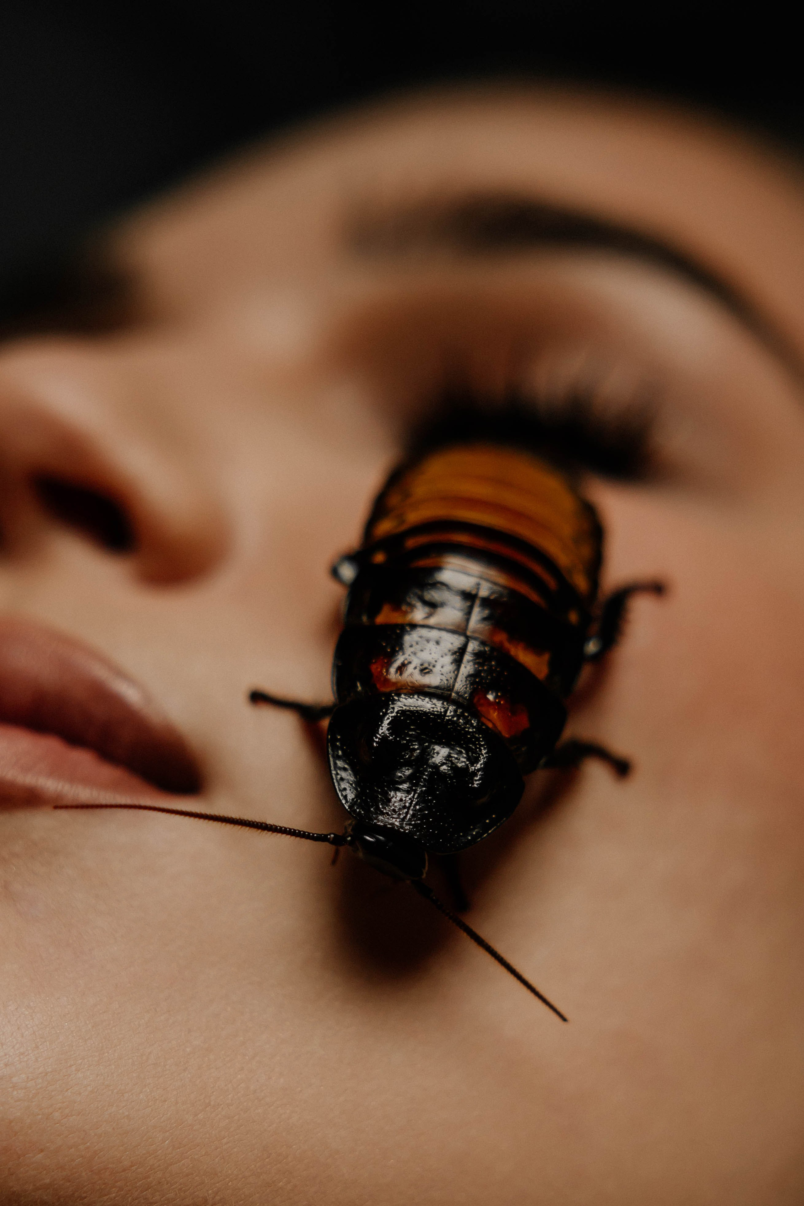 Вика. Рыжова Тамара