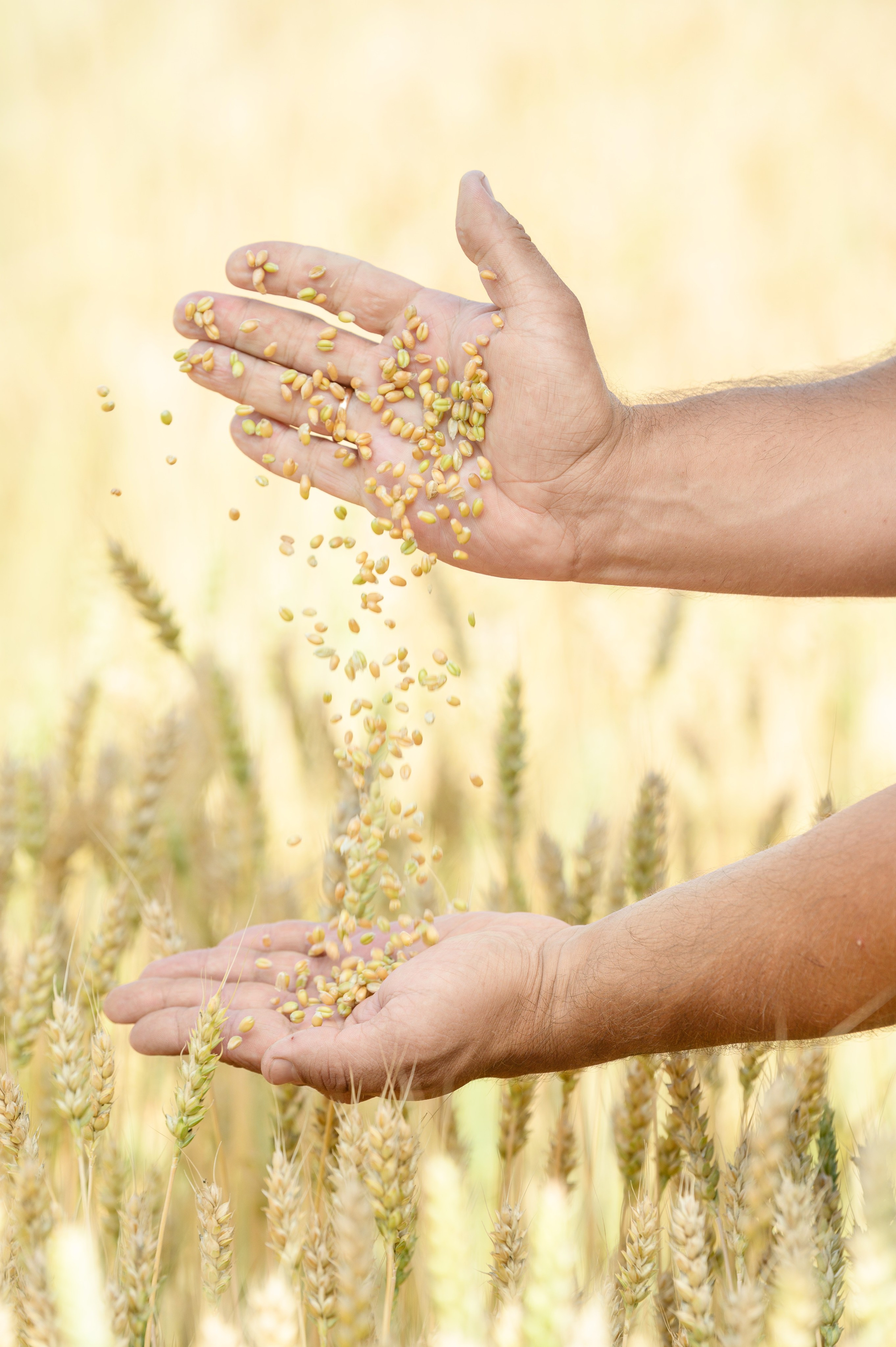 Проекты. Профессиональный фотограф Вячеслав Плацында | Липецк |