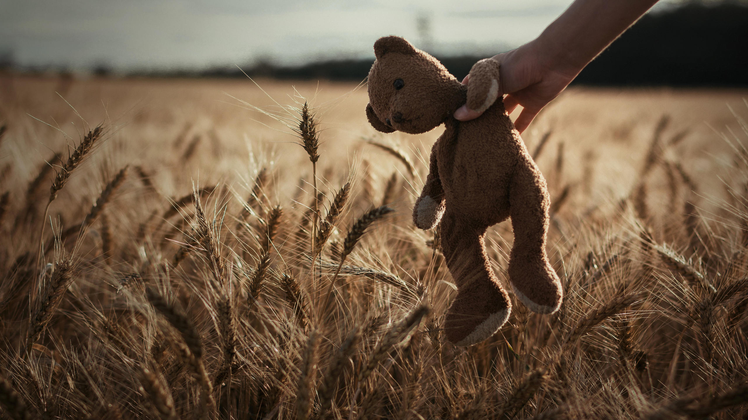 Художественные фото. Автор Наталья Долина. Фотограф в Москве Наталья Долина