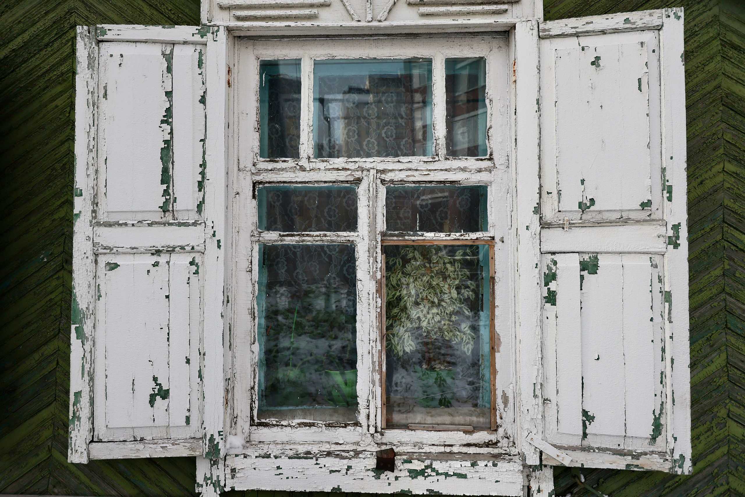 Людмила Владимировна. Хозяйка маленького дома в окружении многоэтажек. Репортажный фотограф Наталья Лапцевич