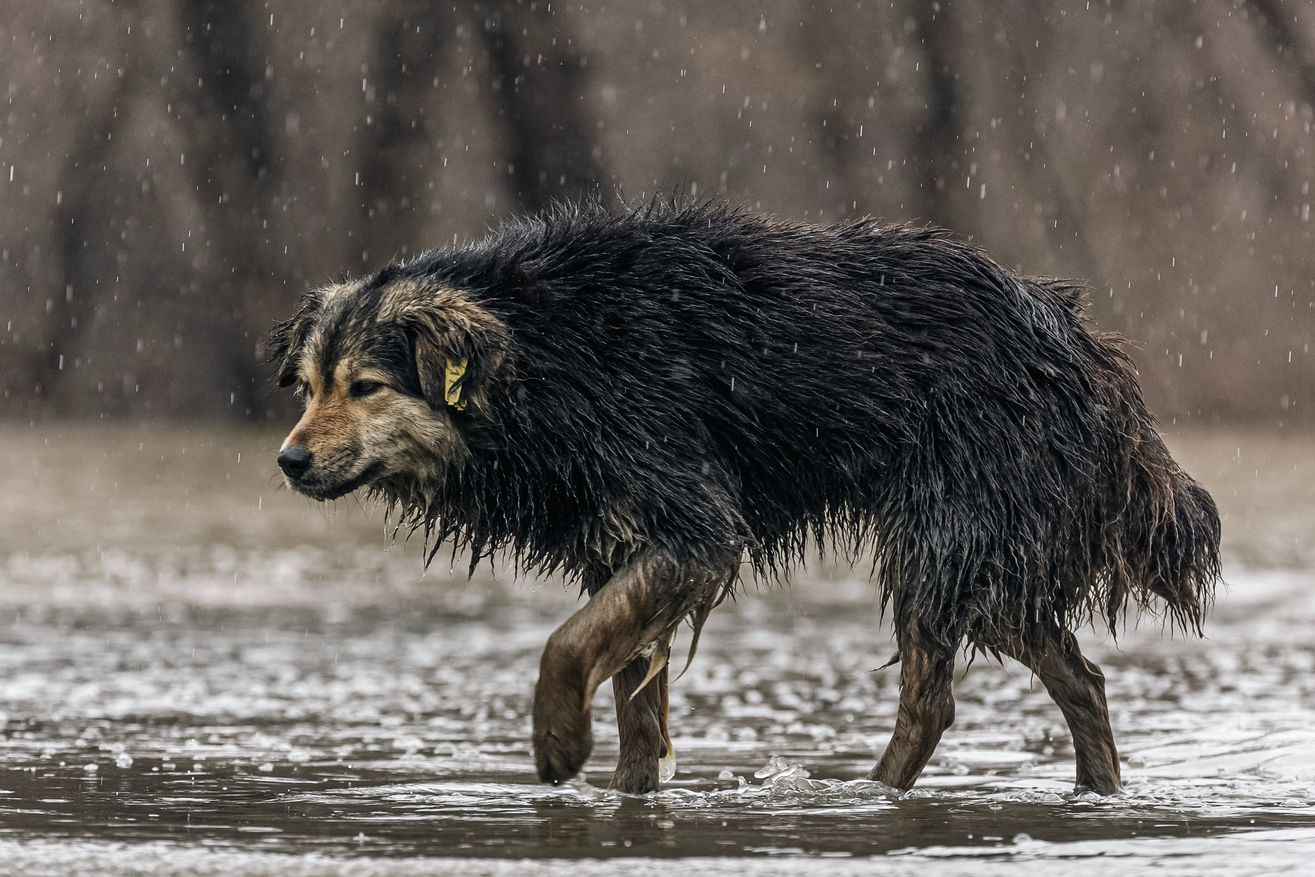 Наводнение в Орске. Репортажный фотограф Наталья Лапцевич