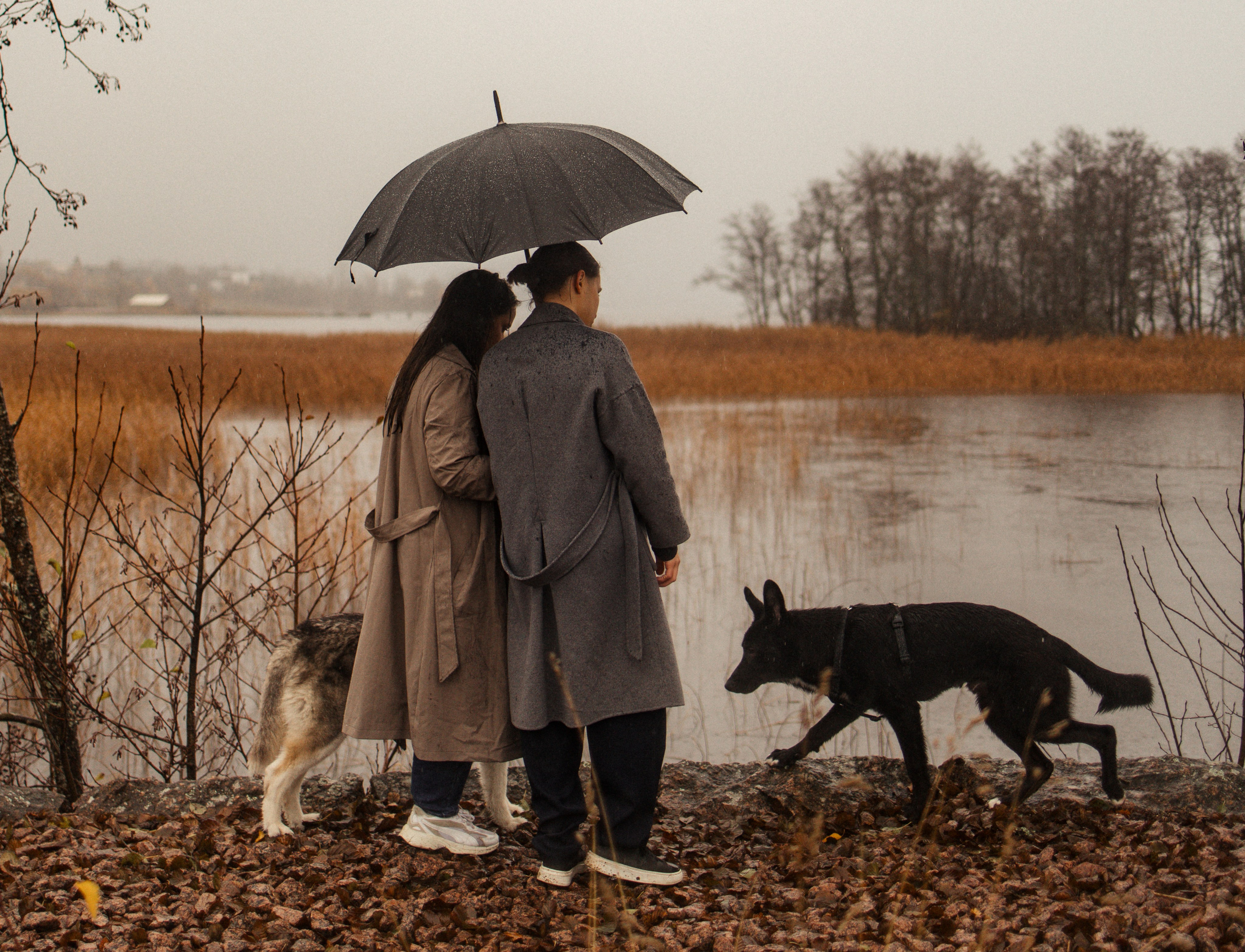 Лена, Глеб, Ральф и Рэй. Фотограф в Выборге и Санкт-Петербурге Маша Гуляева