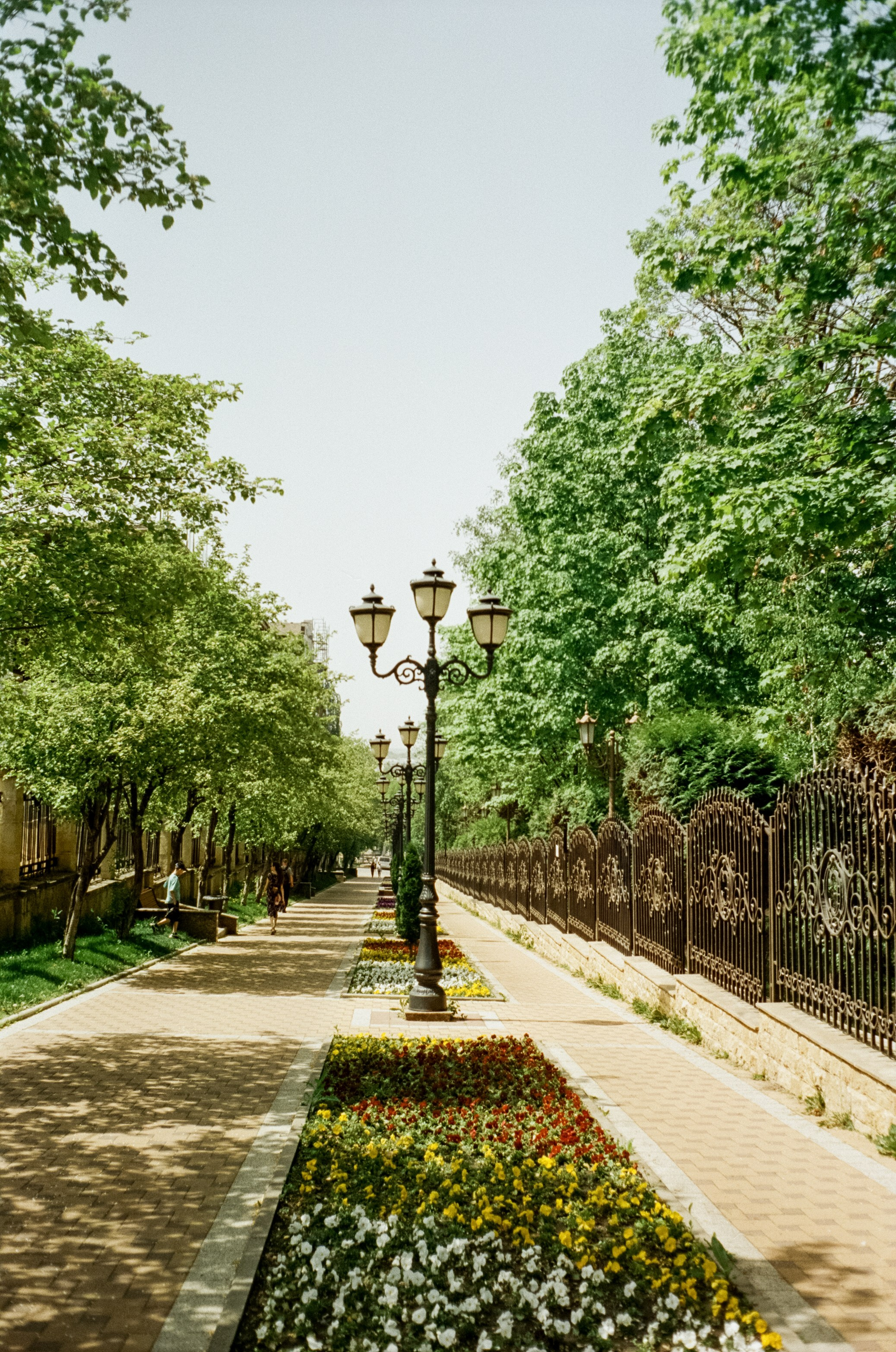 Первый день — первая прогулка по Кисловодску / Minox 35GT / SFL 250D (