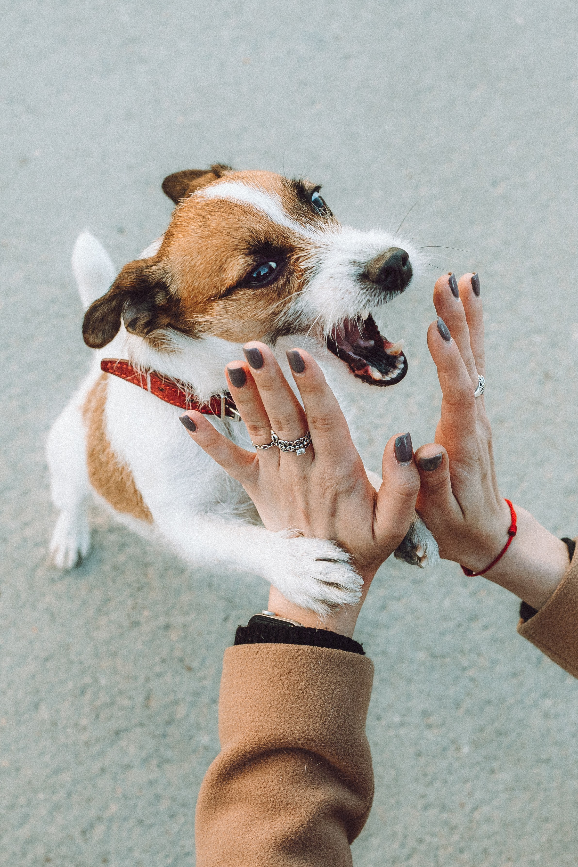 Лера и Рада