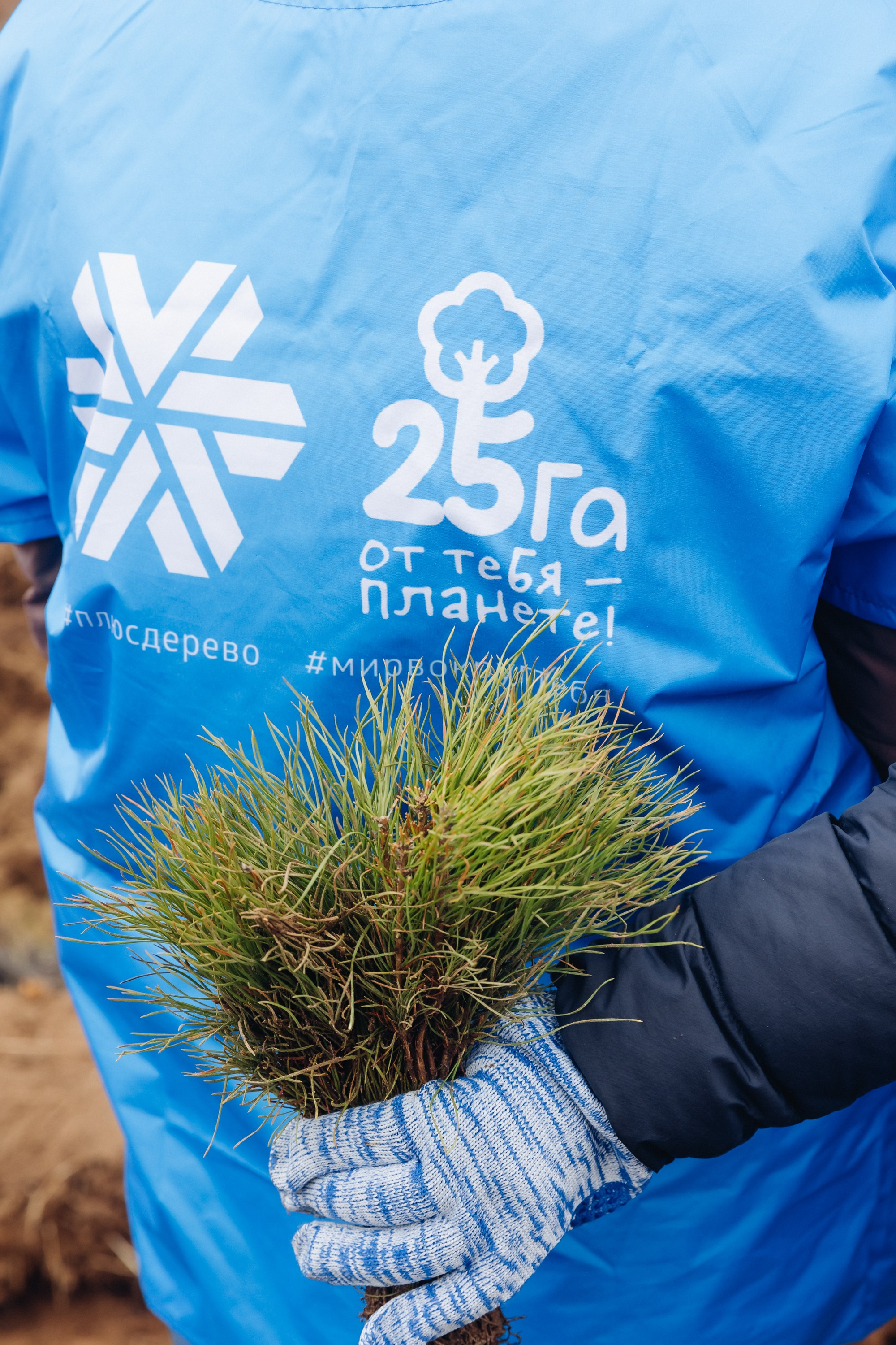 Siberian wellness. Ежегодная акция по посадке деревьев. Свадебный и семейный фотограф в Улан-Удэ
