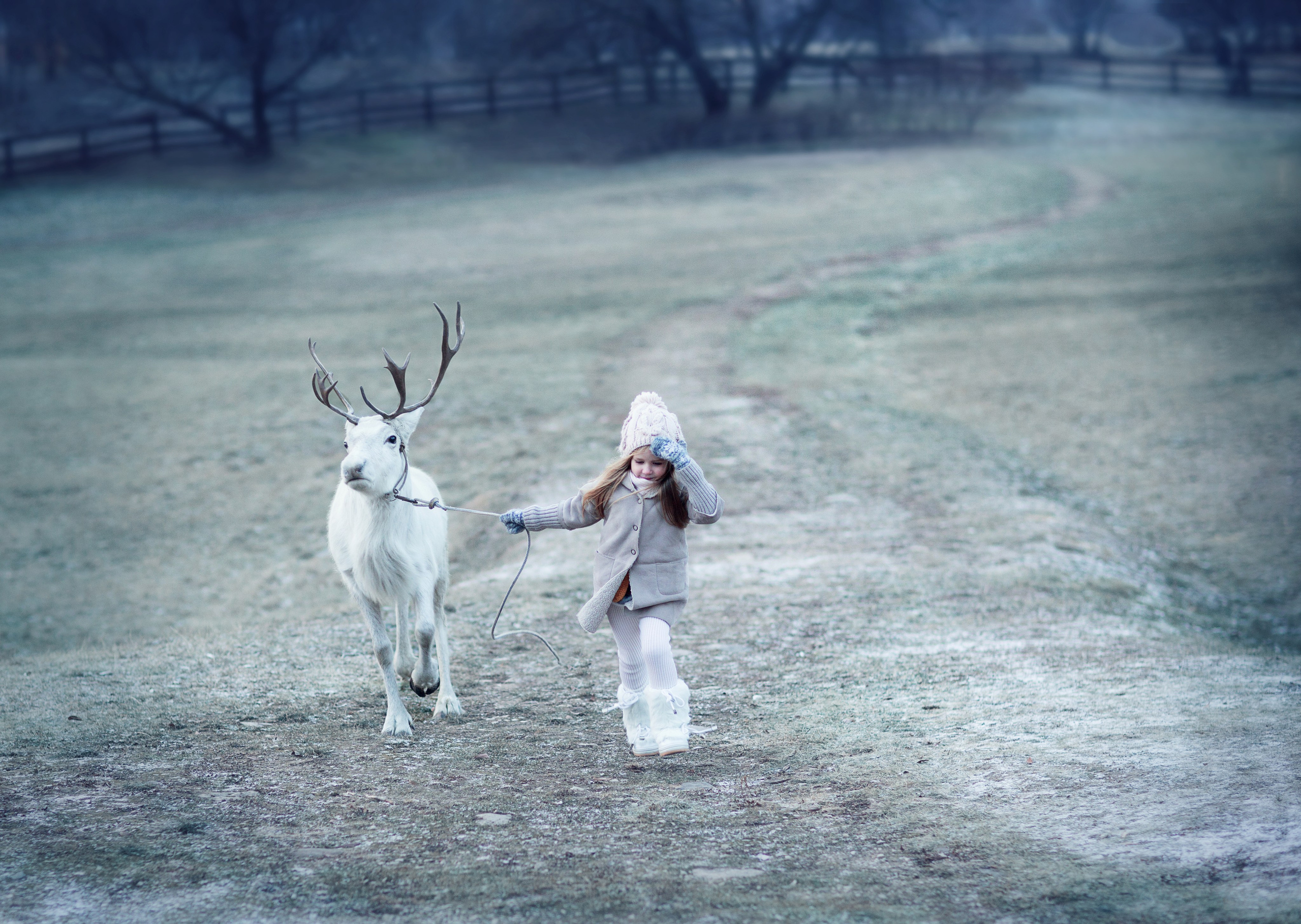 Портфолио. Карнеева Елена. Детский, семейный фотограф