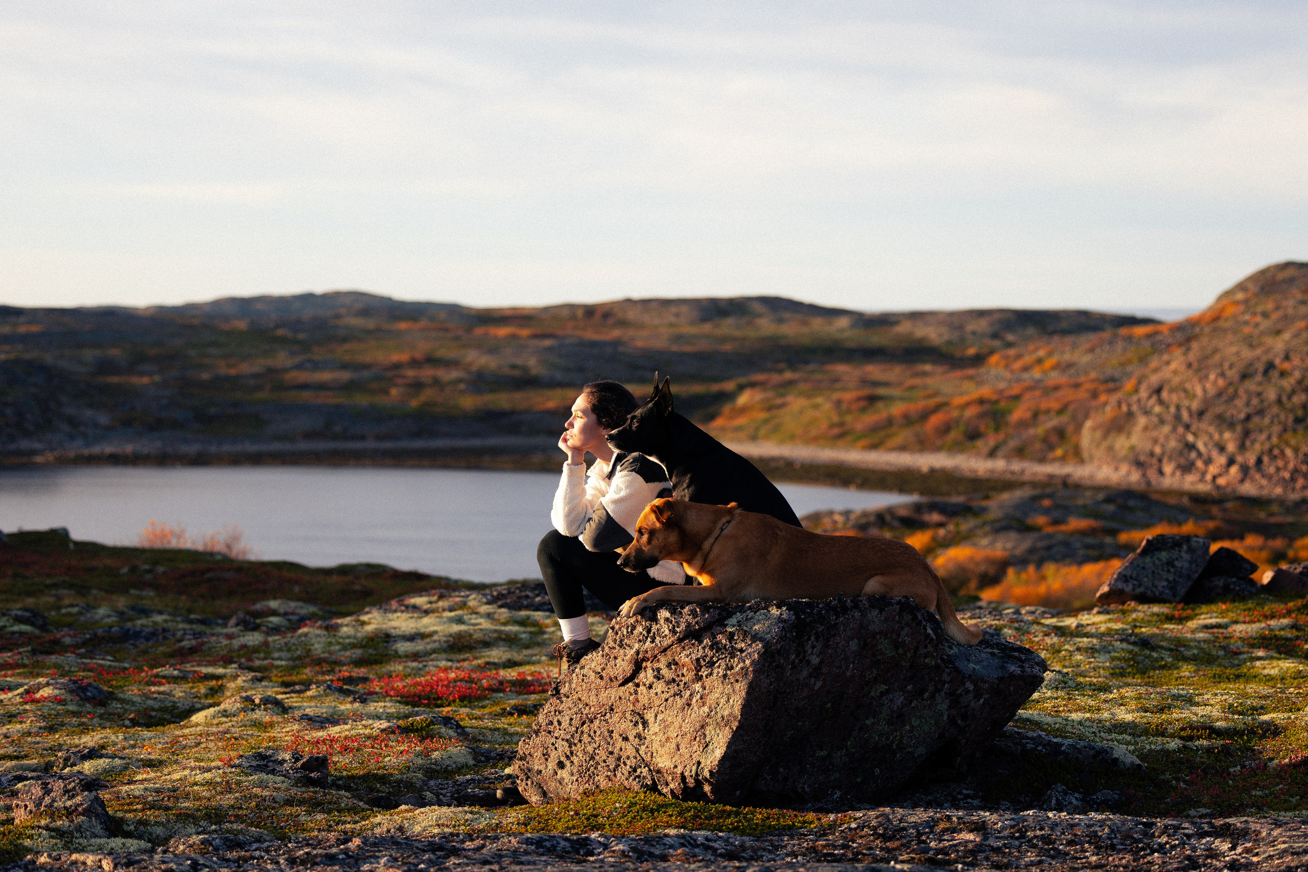 Кольский. Фотограф и видеограф анималист Аганина Дарья