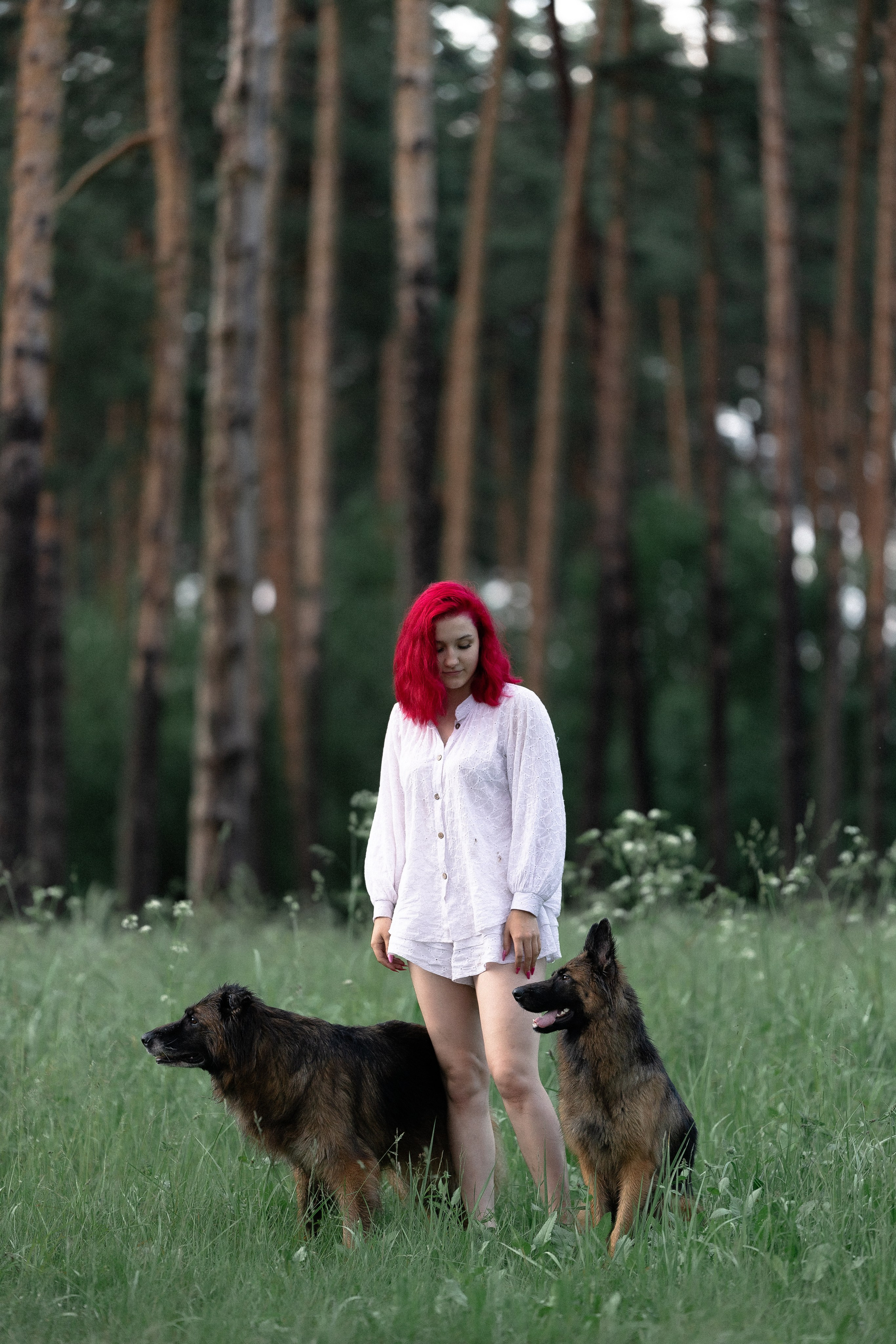 Алена, Фанни и Фрея. Фотограф и видеограф анималист Аганина Дарья