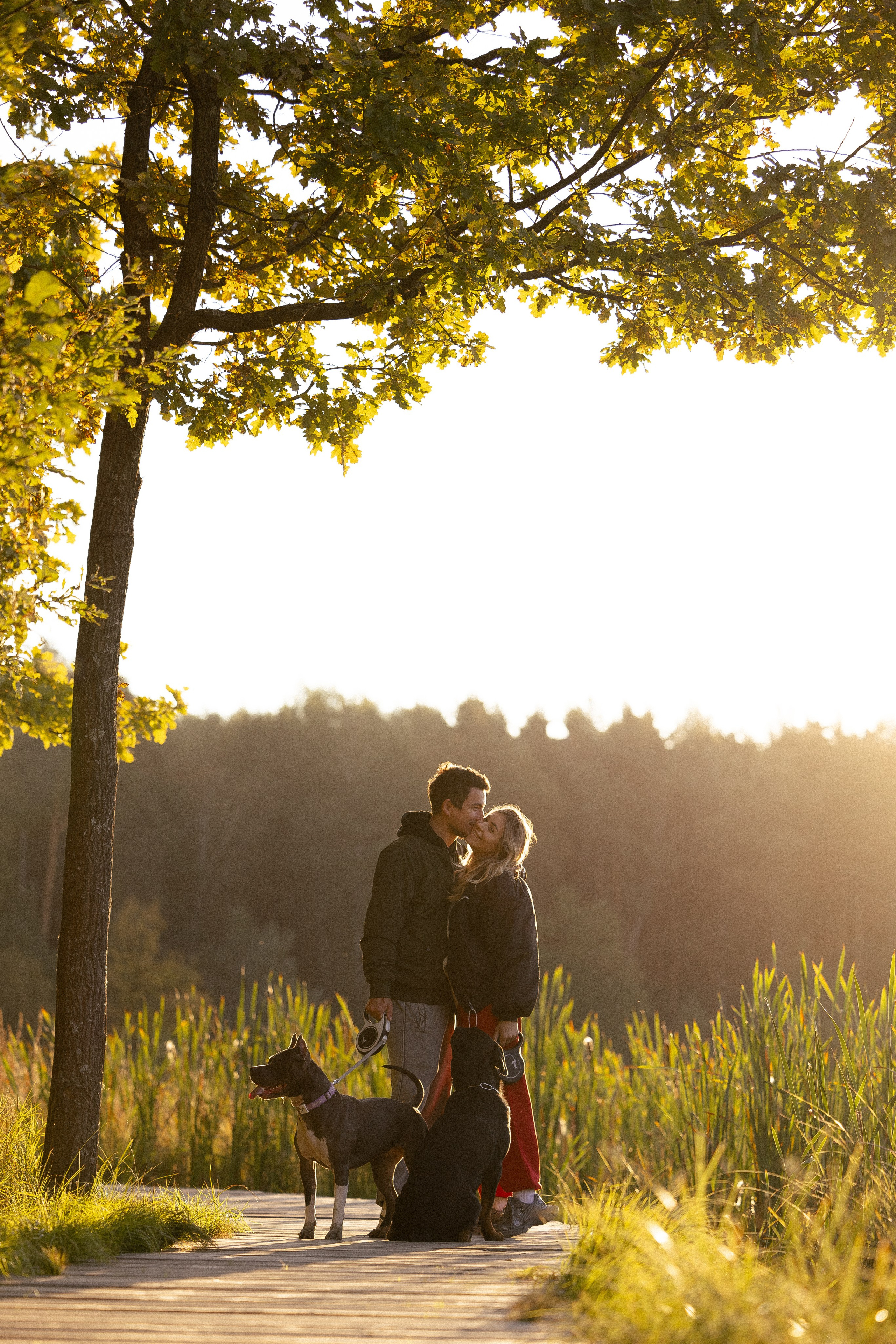 Катя, Леша, Лея и Трой. Фотограф и видеограф анималист Аганина Дарья