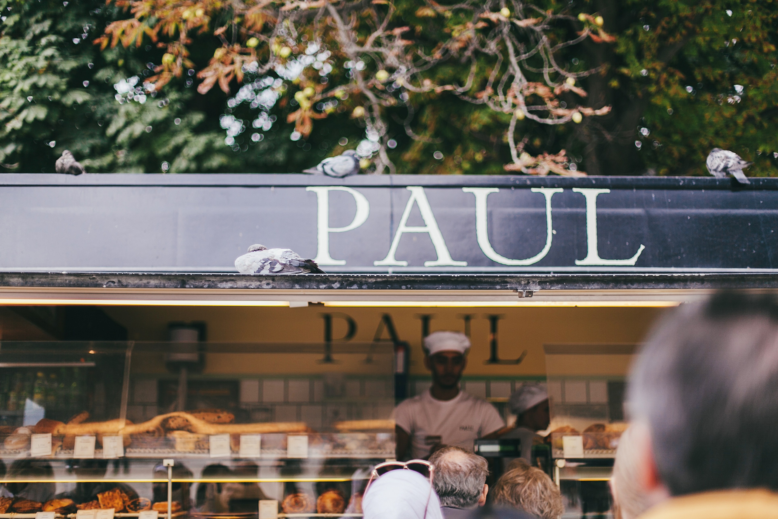 Париж. Аня Степанова