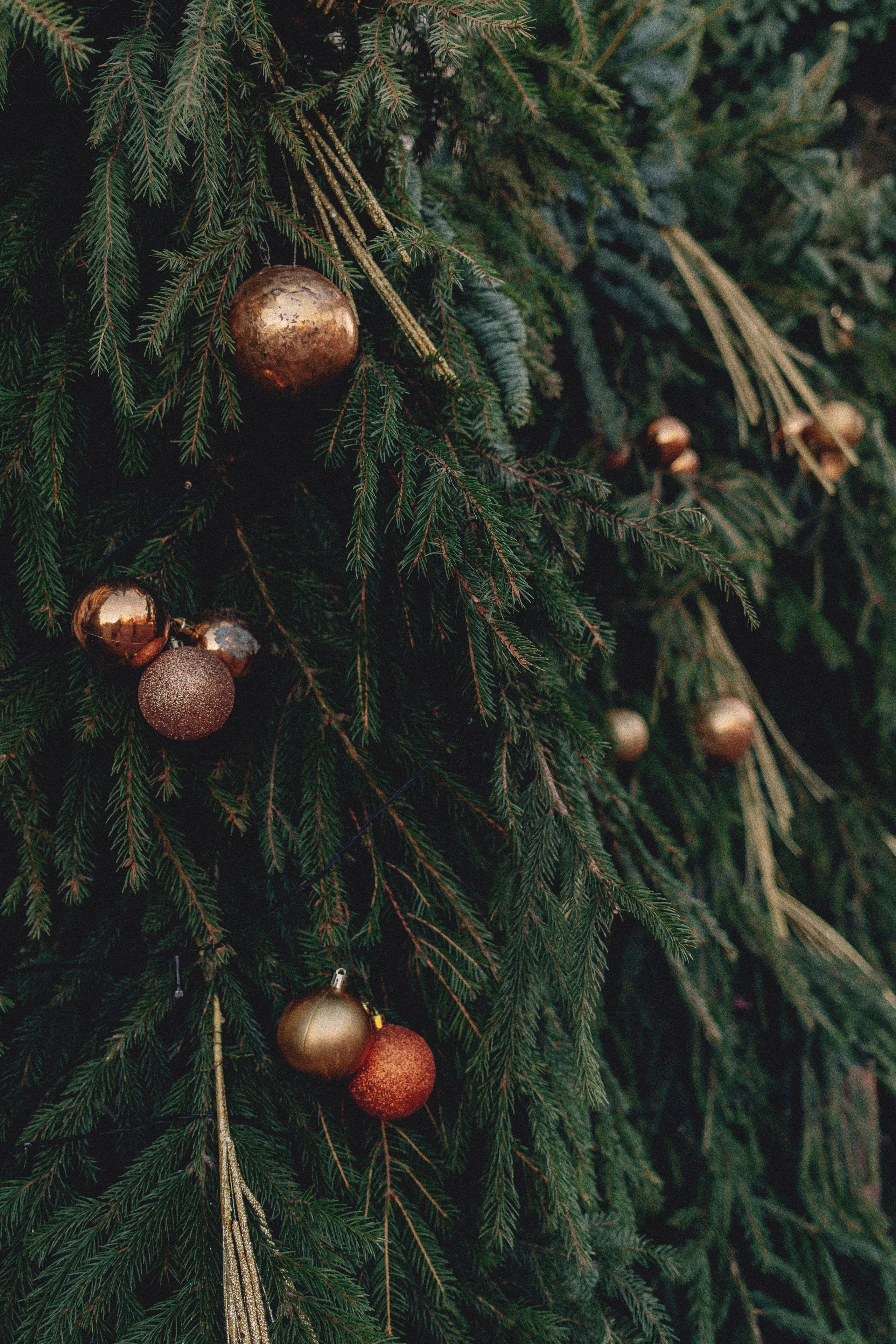 Санкт-Петербург. Аня Степанова