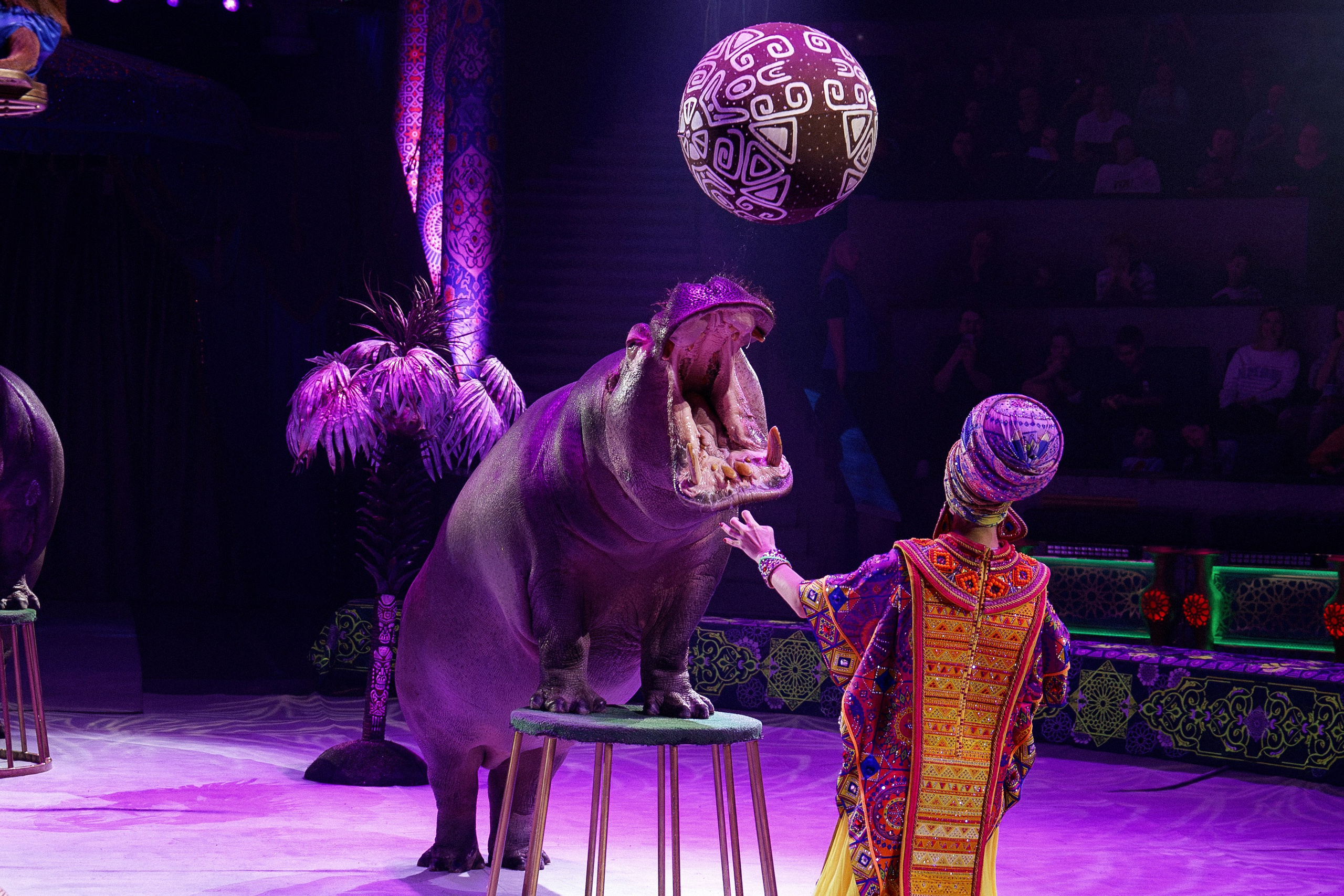 Новое шоу Гии Эрадзе «ПЕСЧАНАЯ СКАЗКА». Фотомастерская Воробьевых