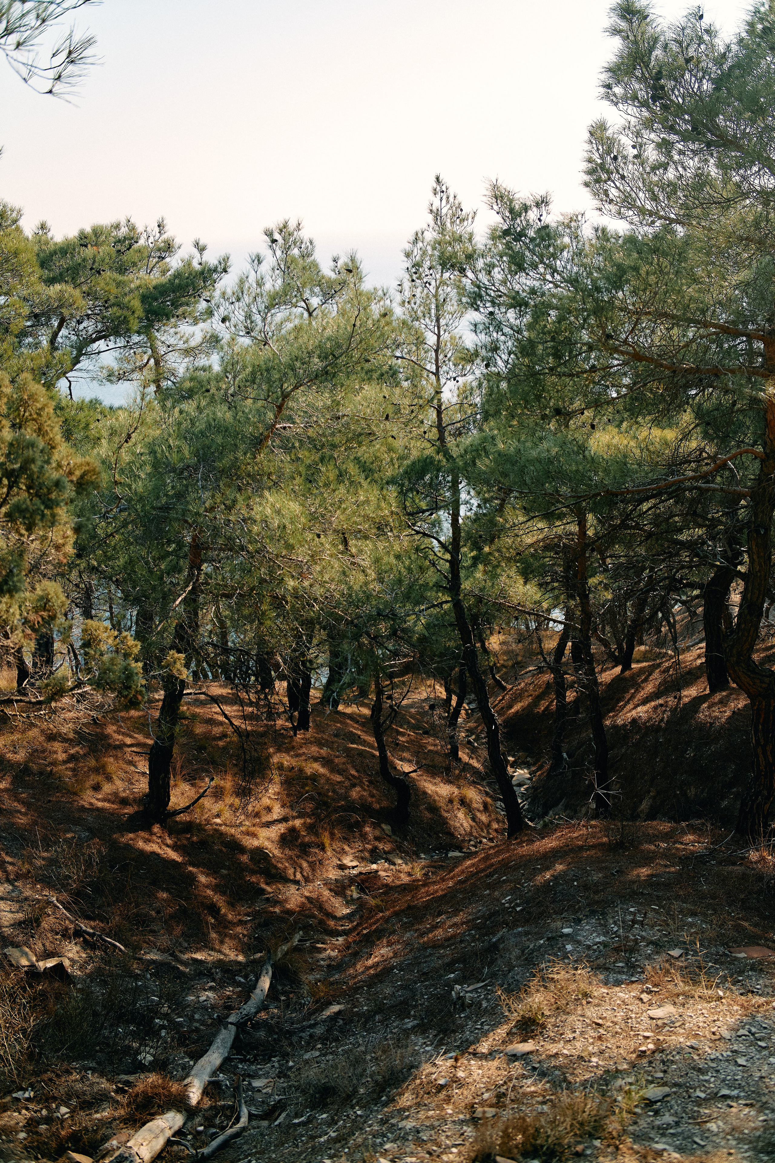 Юг России. Профессиональный Фотограф во Владимире, в Москве и в Суздале — Полина Романычева