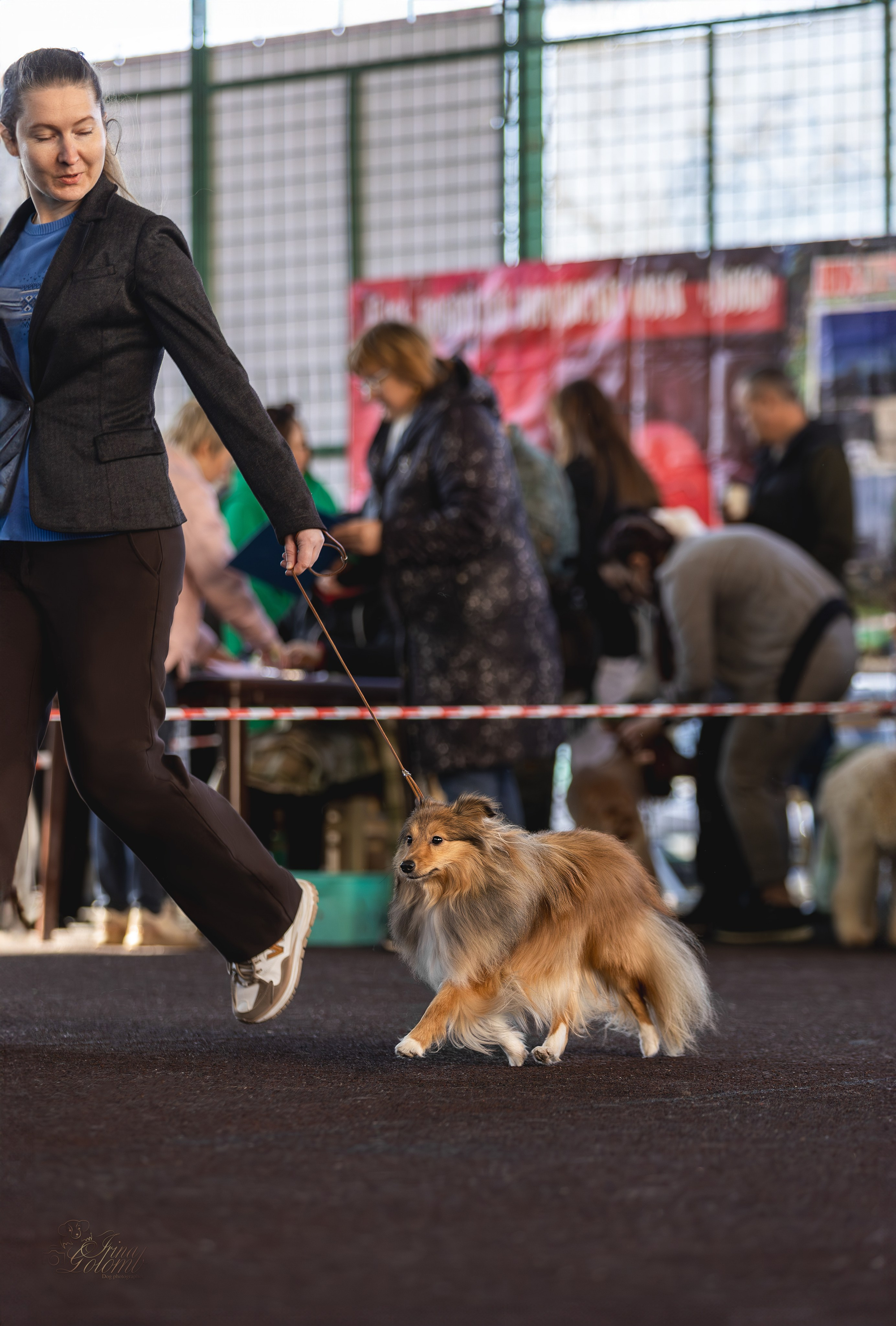 Выставка 25.02.2024. Ирина Голомб|Фотограф-анималист в  Сочи и Калининграде