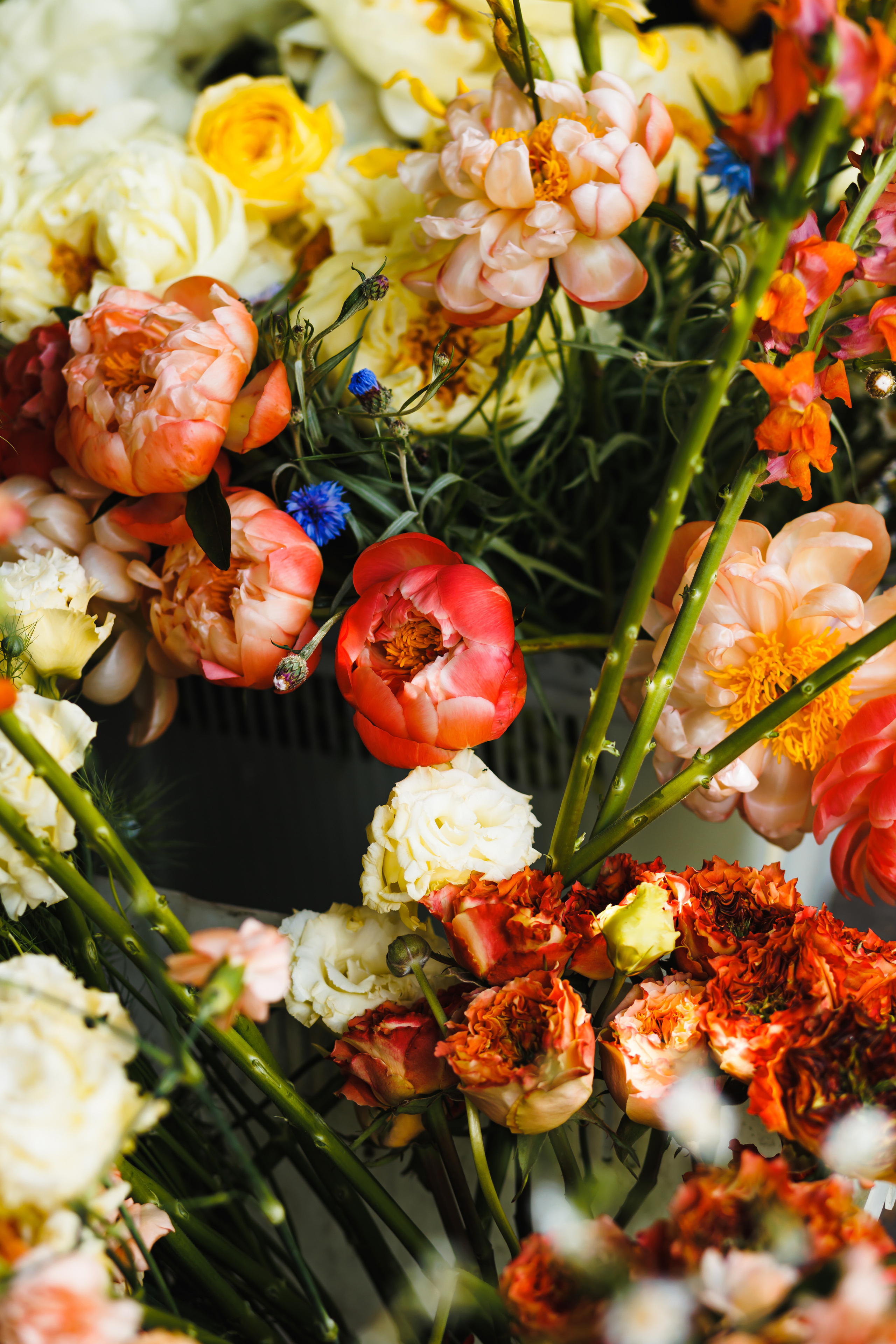 Кирилл и Наталья. Wedding and Reportage photographer Marmarov Christya