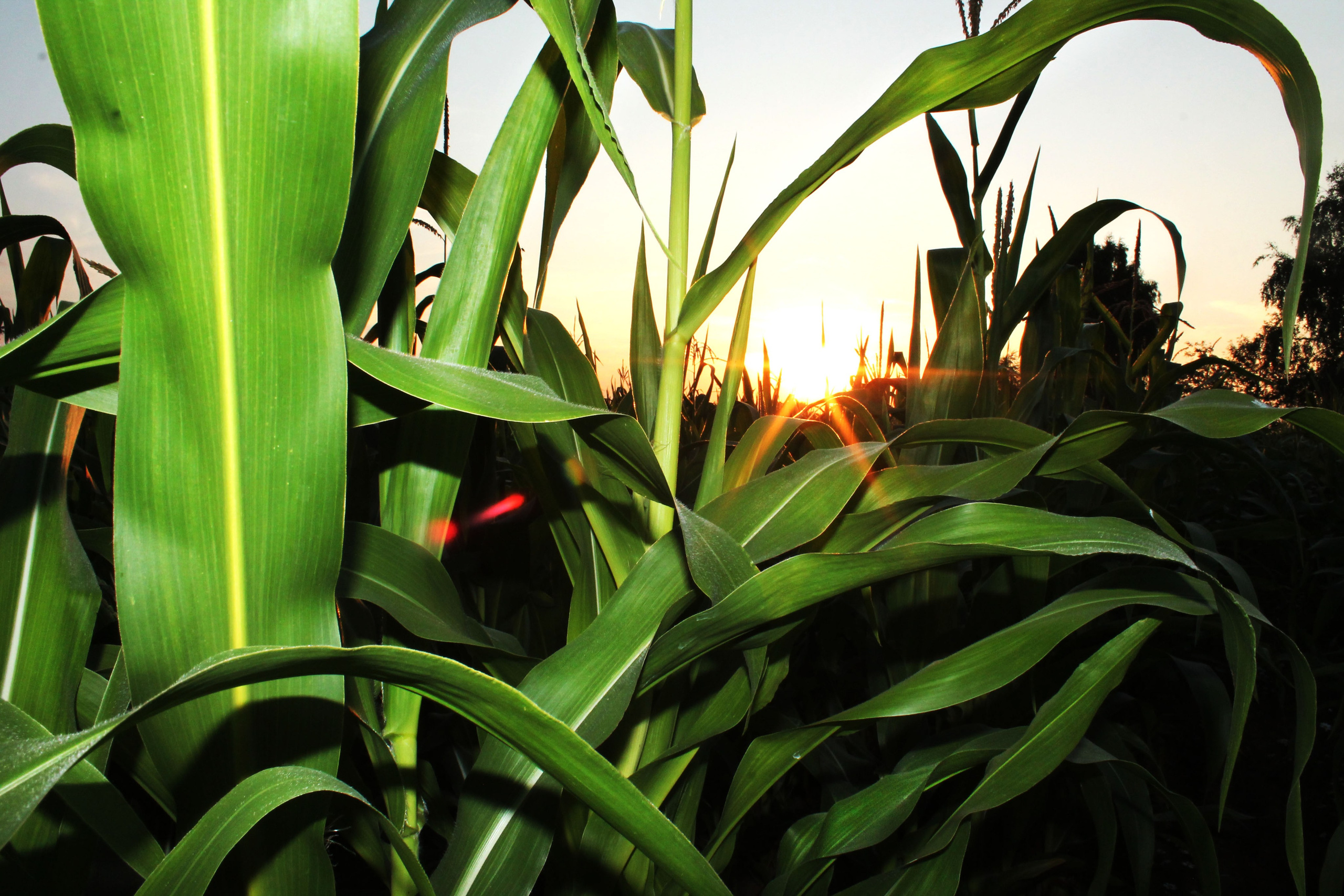 Мои первые работы. Фотограф из Москвы — DASHA NOVA | Авторская фотография в разных жанрах