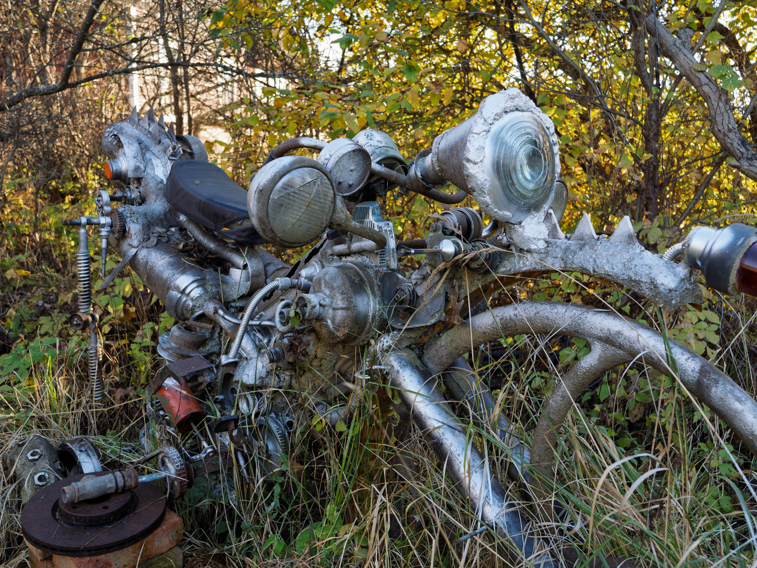 Голубые озера, Псковская область. Октябрь 2024. Фотограф Никифоров-Гордеев Сергей. Москва и МО