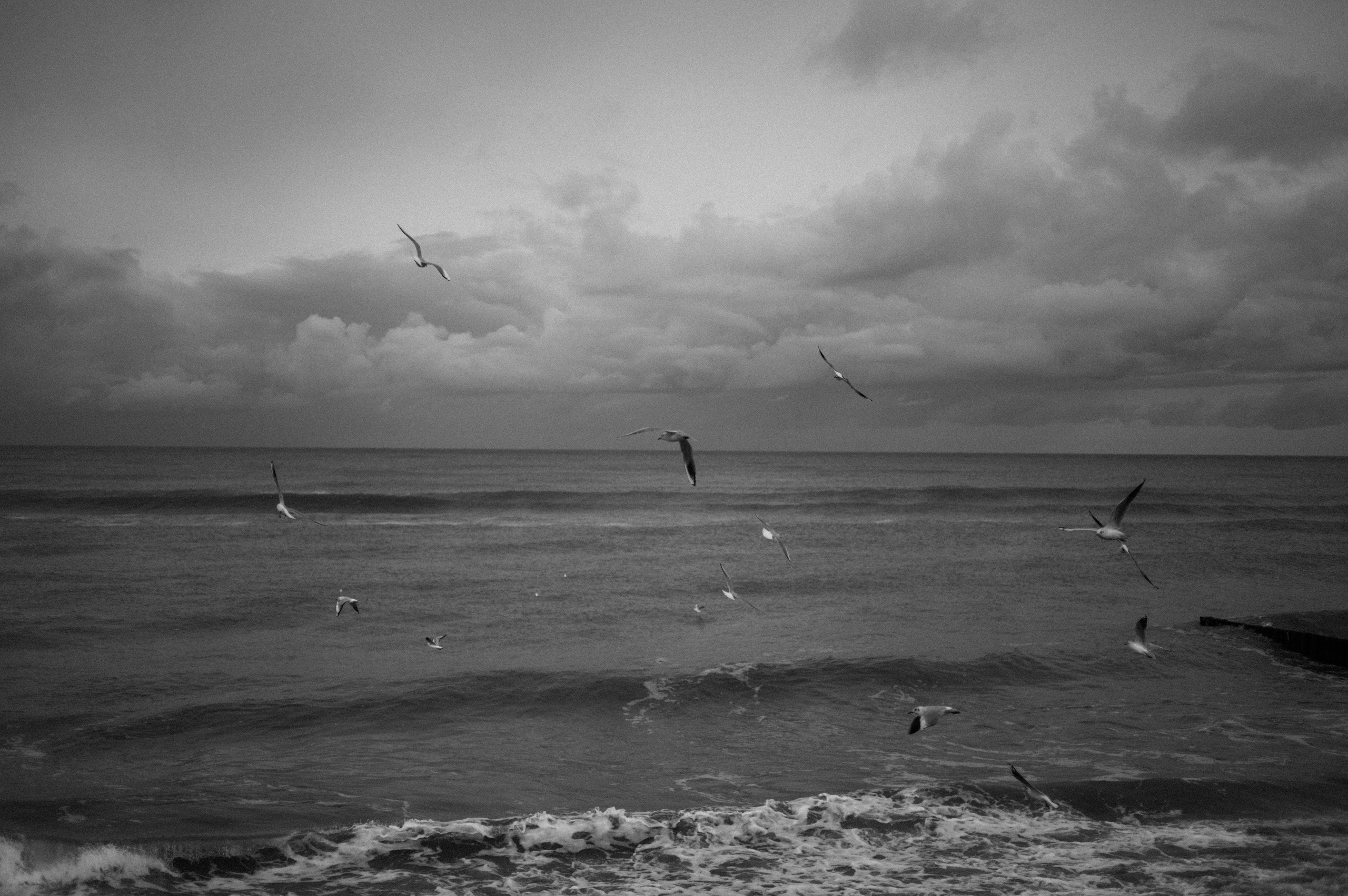 Индивидуальный фотограф в Оренбурге Кристина Студеникина