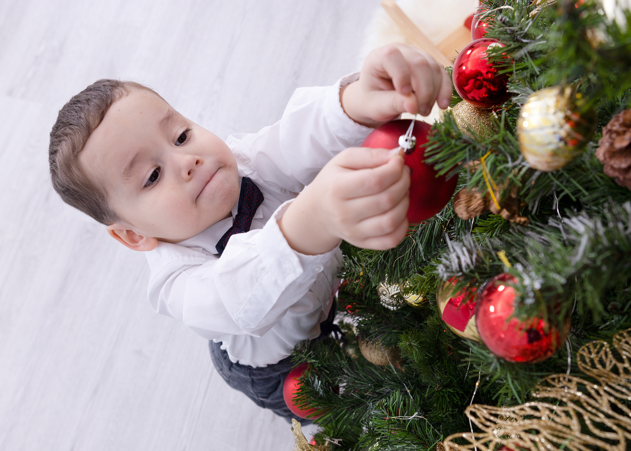 Фотодень «Новый год 2022». Выпускные альбомы для школ и детских садов