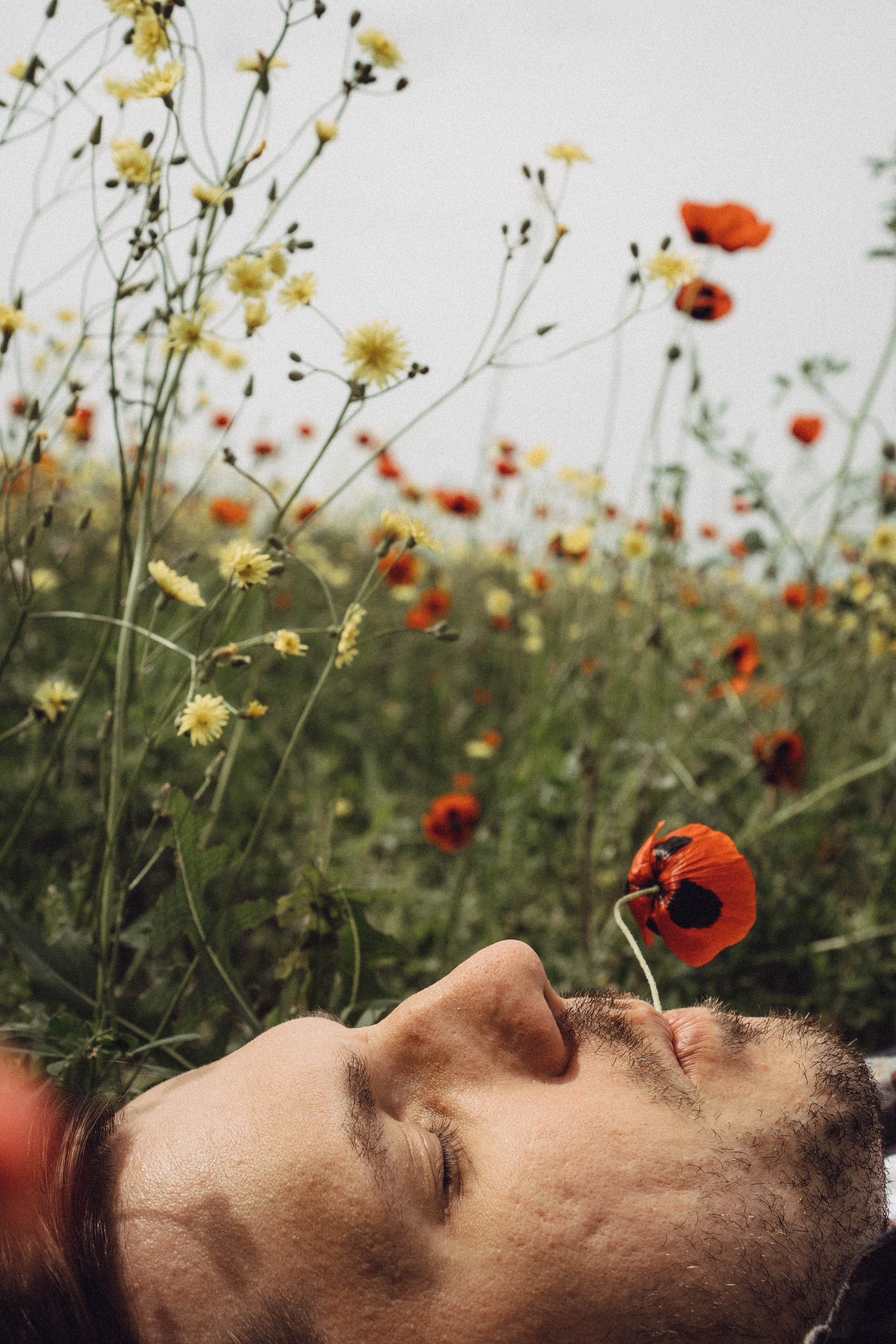 Маки. Профессиональный фотограф, Санкт-Петербург — Виктория Богомолова