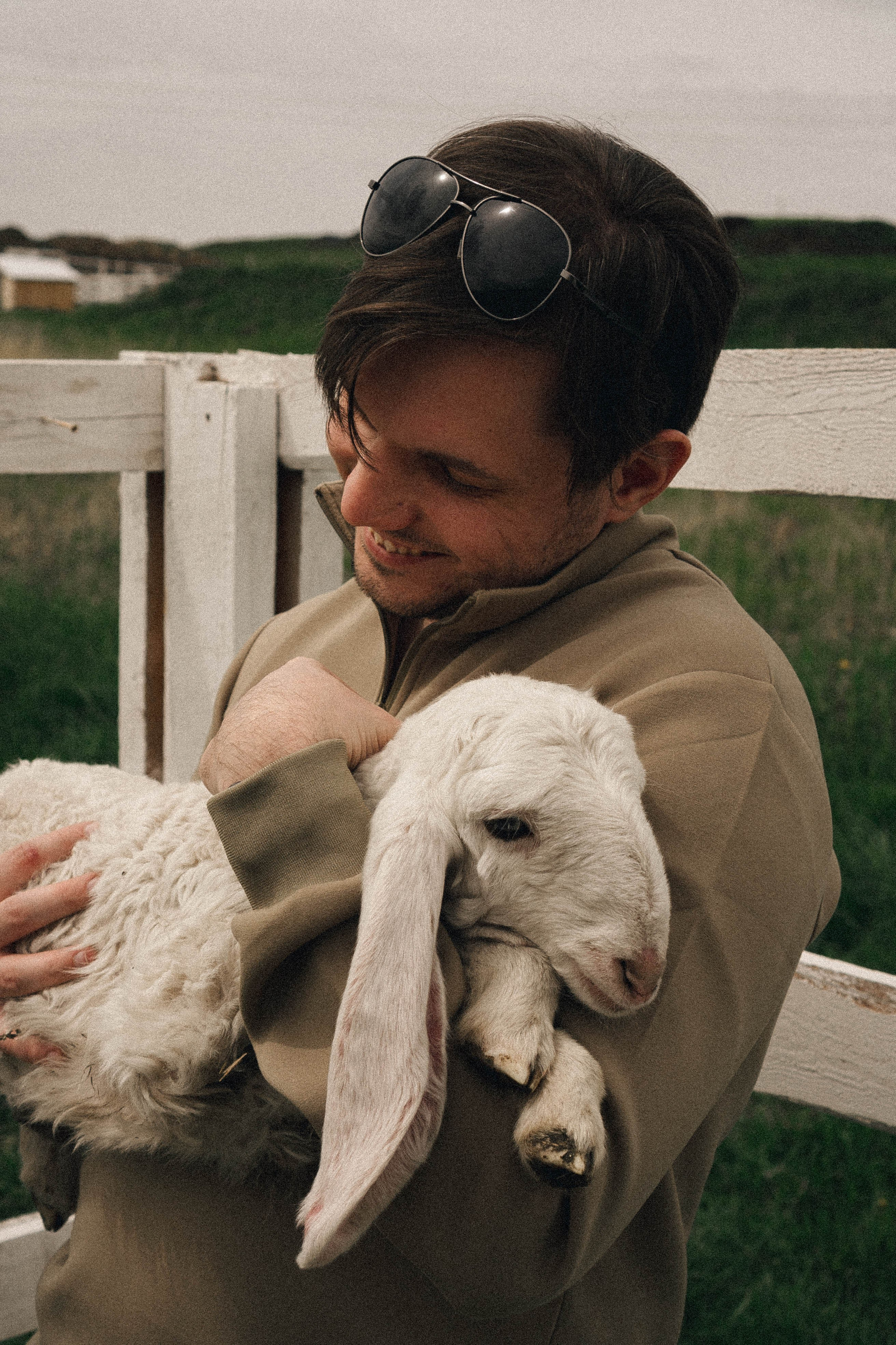 Ферма Альпак. Профессиональный фотограф, Санкт-Петербург — Виктория Богомолова