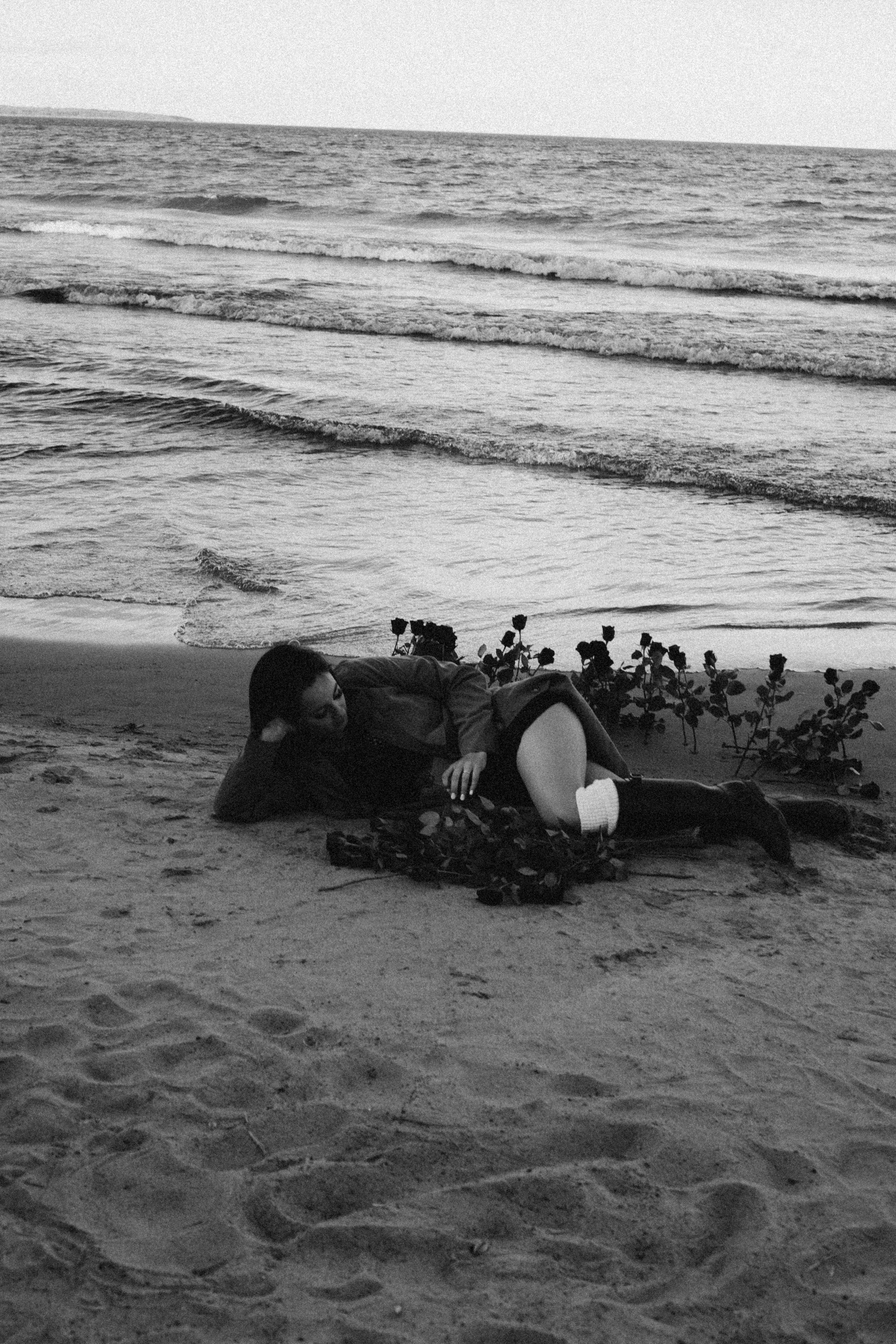 Розы. Профессиональный фотограф, Санкт-Петербург — Виктория Богомолова