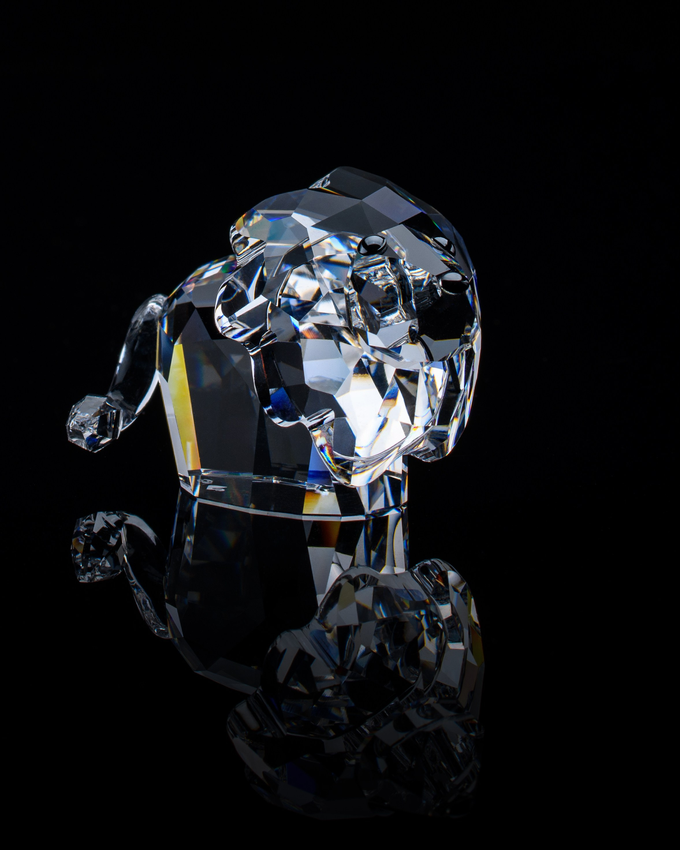 КАТАЛОГ. Профессиональный фотограф в Минске Николай Герасимов