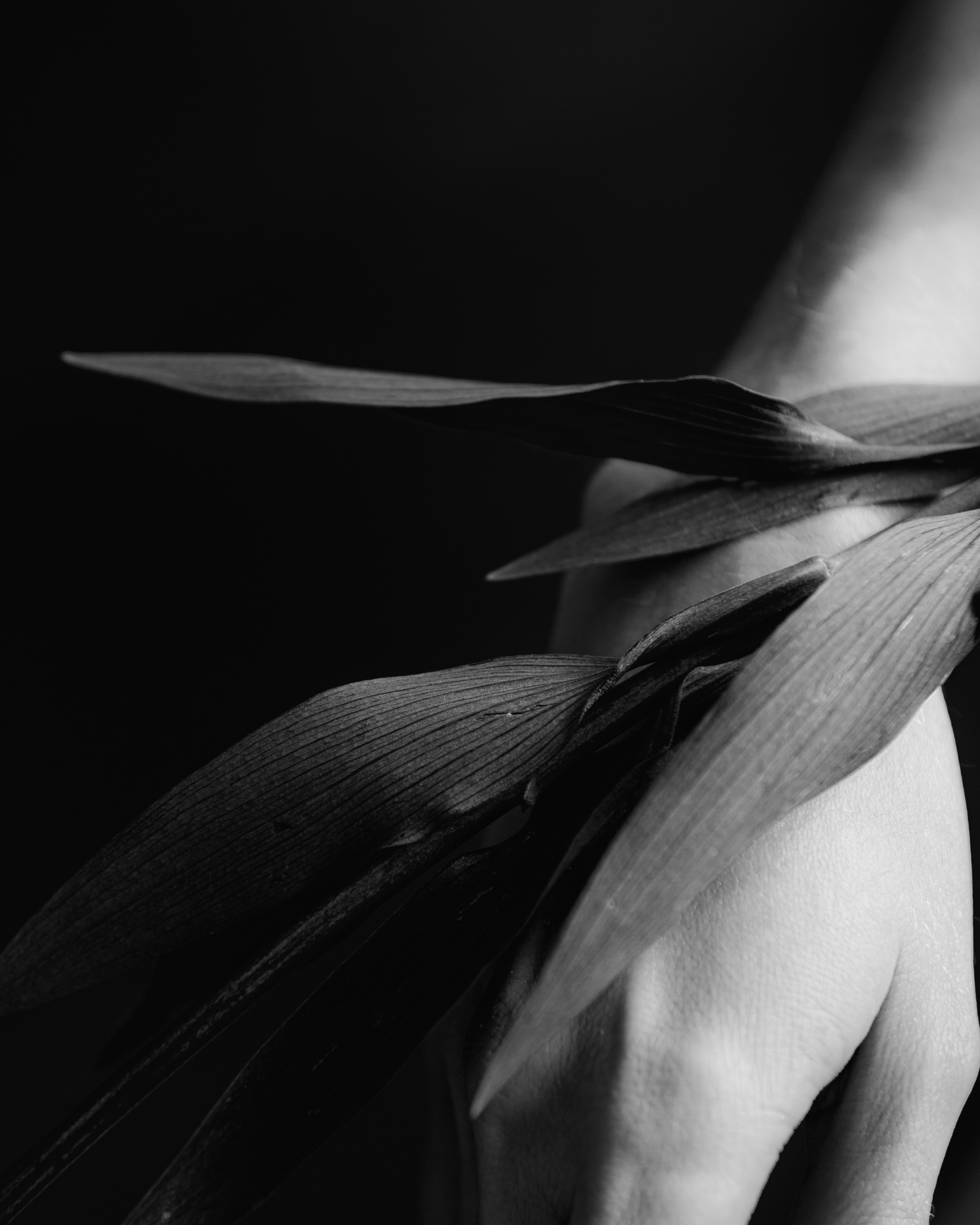 Портреты. Фотограф Маша Ривер Щелково Москва