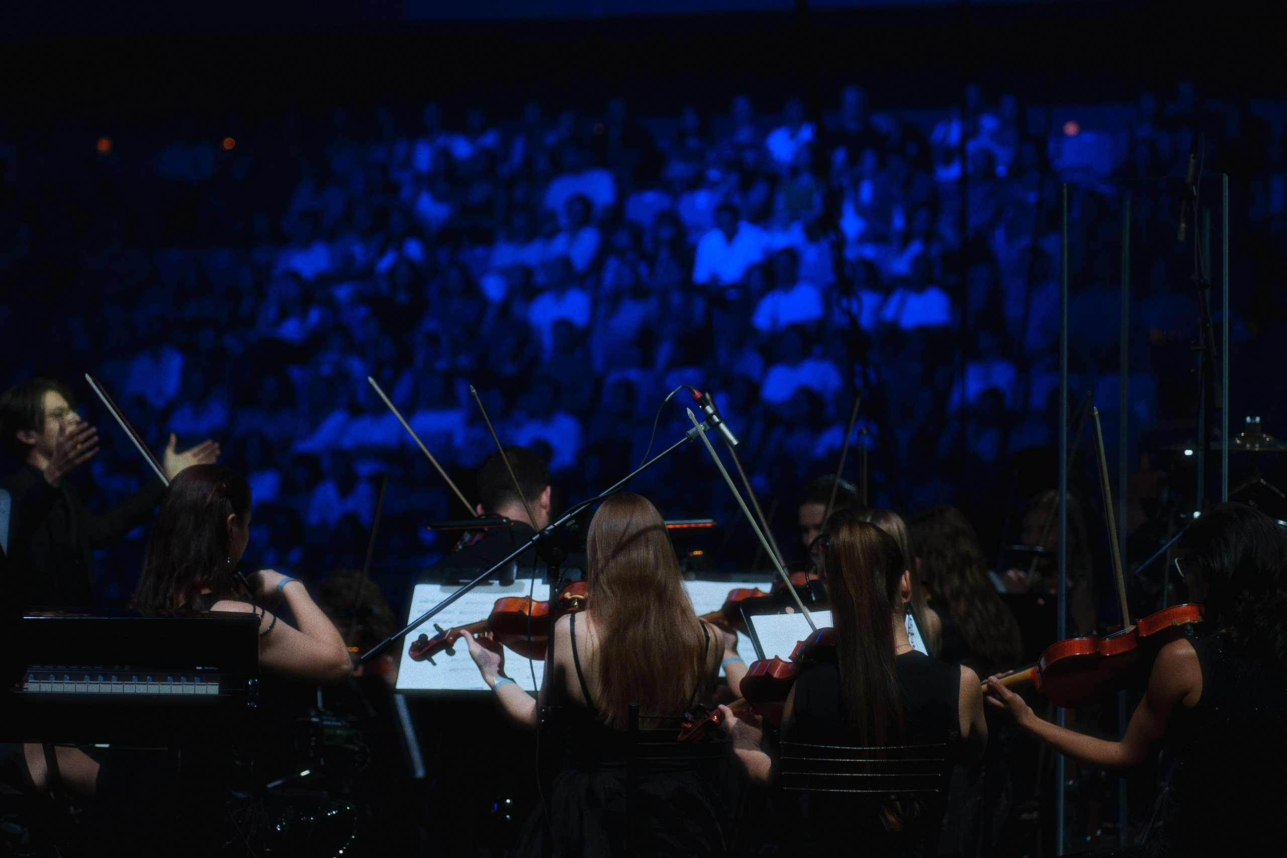 Luminary show. Фотограф Юрин Евгений