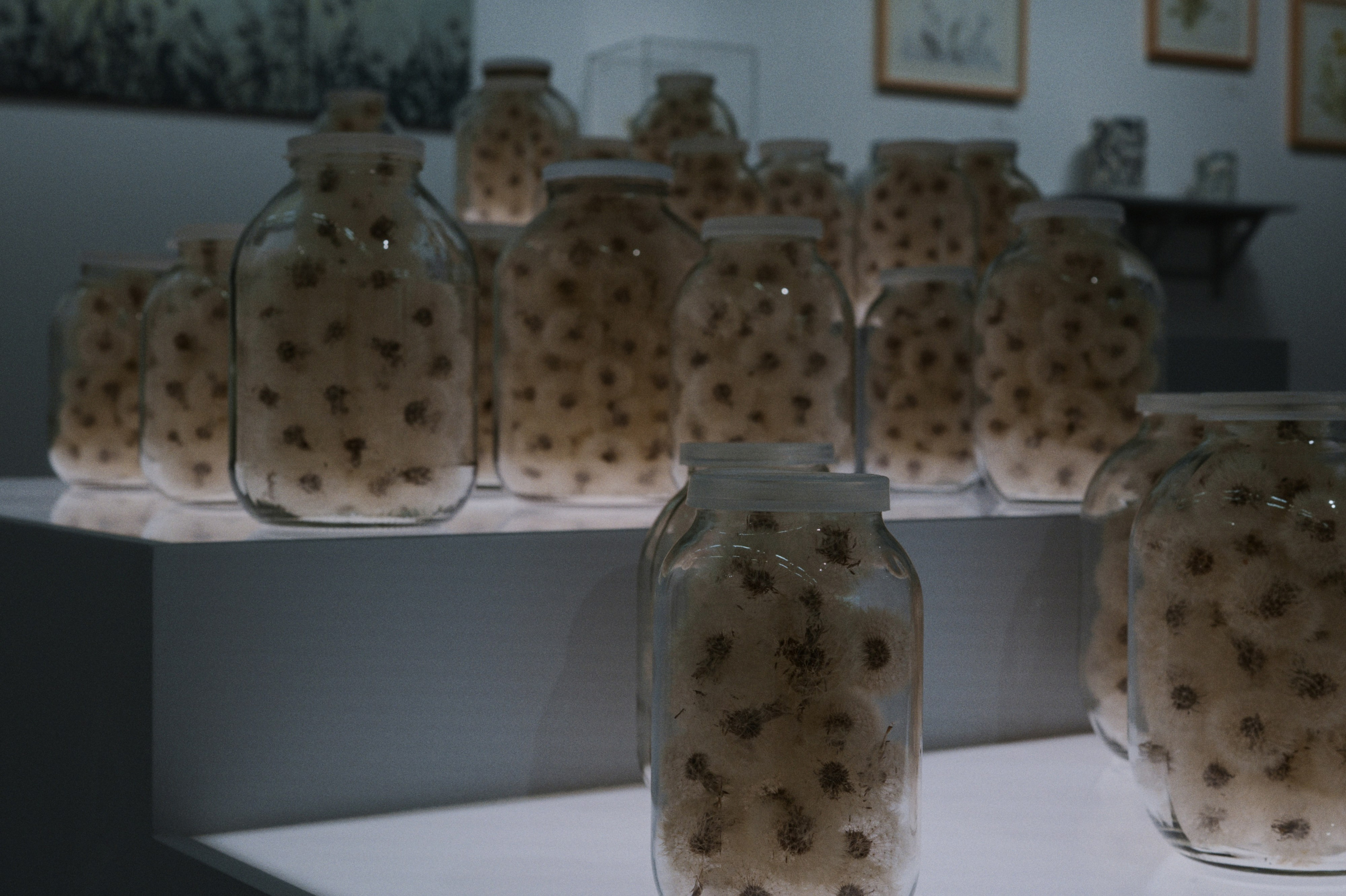 MAMM / Moscow, Russia SS25. Фотограф Юрин Евгений