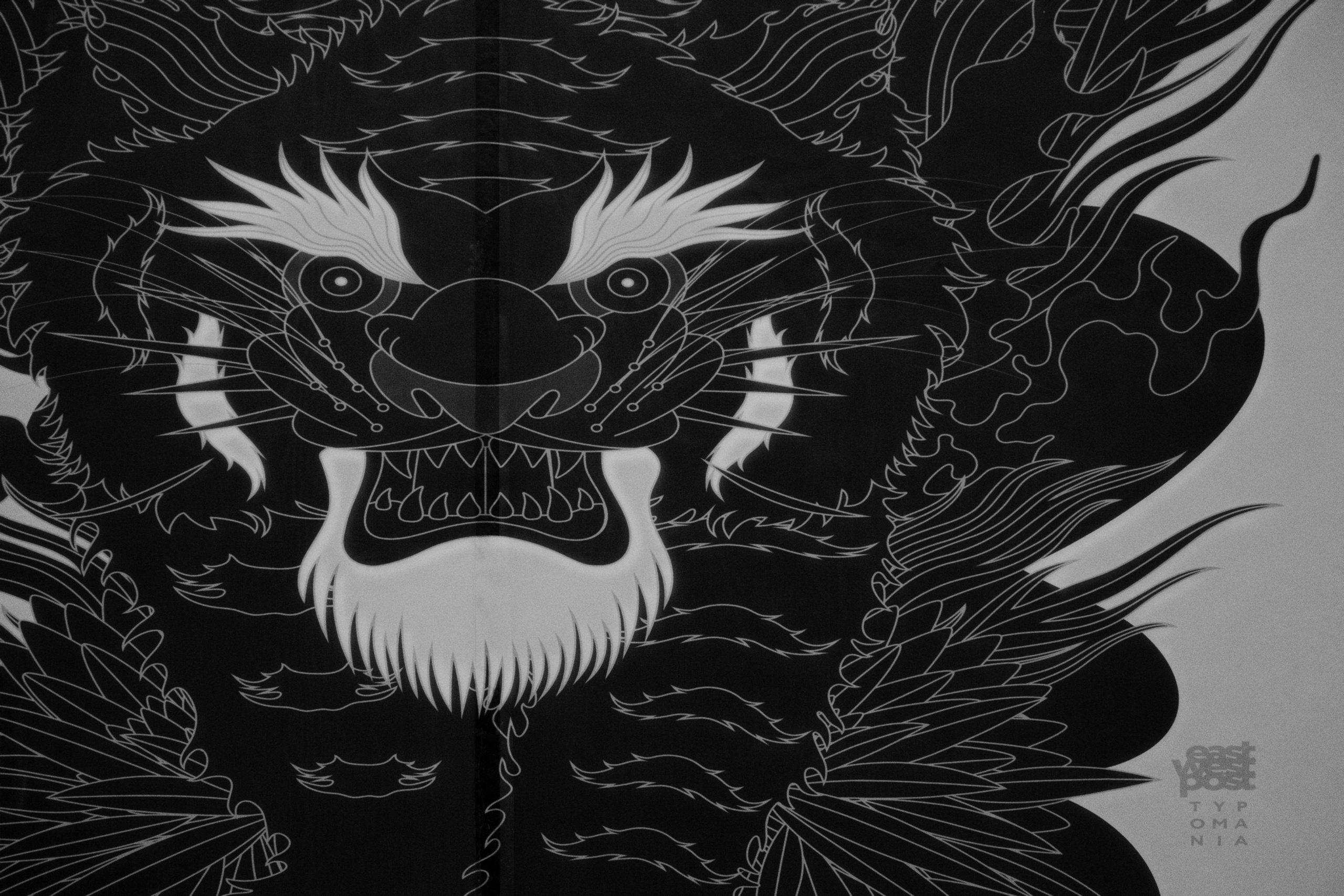 Typomania. Фотограф Юрин Евгений