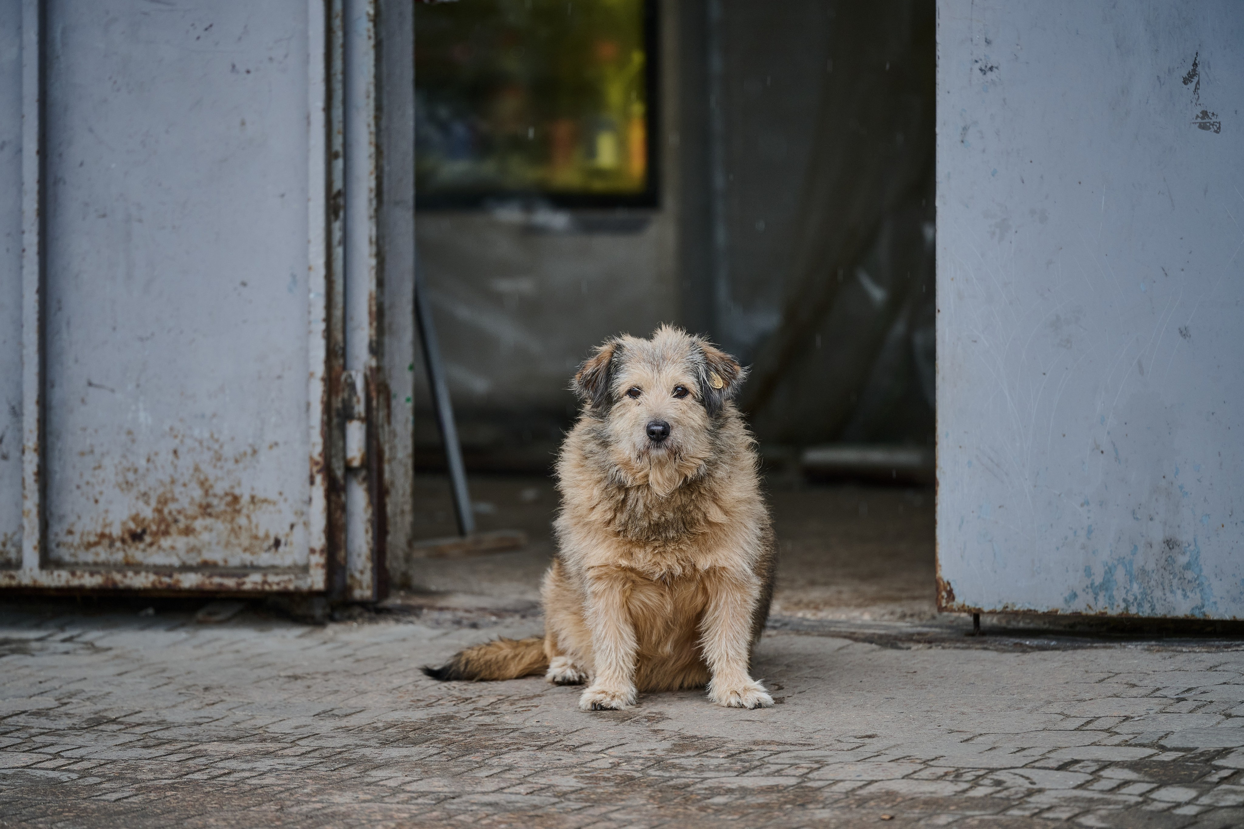 Фото для презентации фотопроекта «Территории». Фотопроект «Территории»