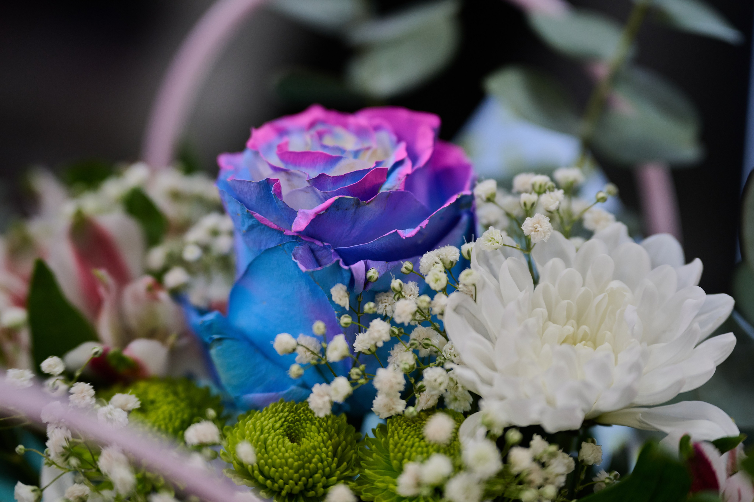 Лисичанск. Луганская область. Фотопроект «Территории»