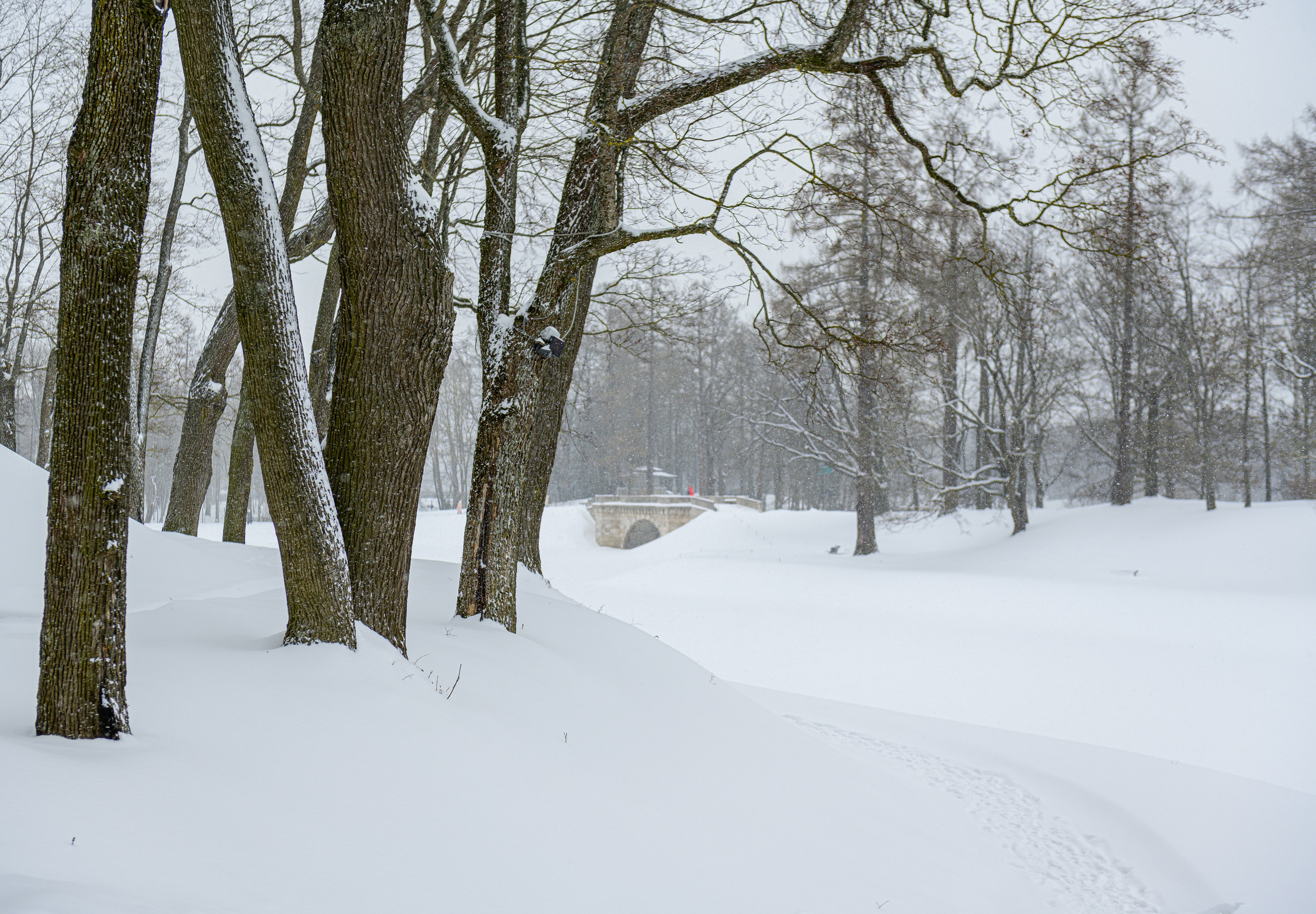 SAINT PETERSBURG | SUBURBS. Personal website of photographer Dmitry Raikin