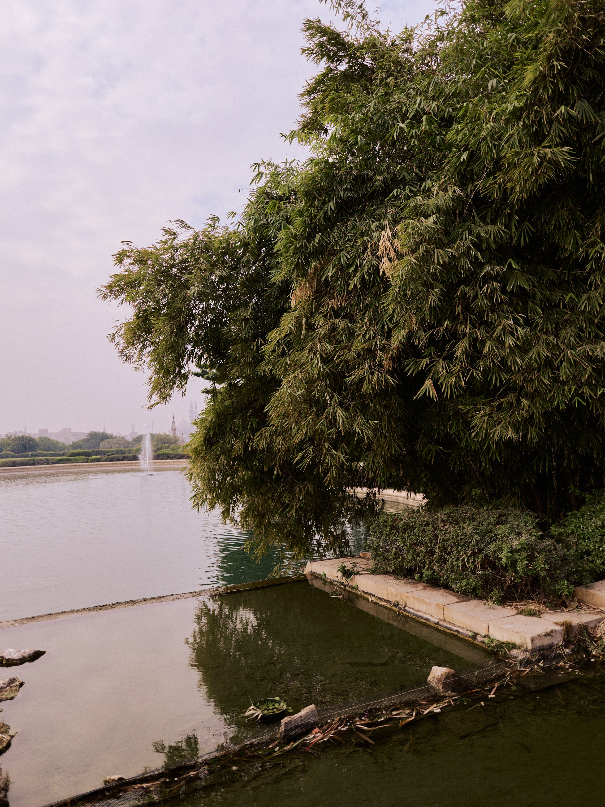 Другое 4. Jorgis — фотограф в Хургаде / обучение фотографии