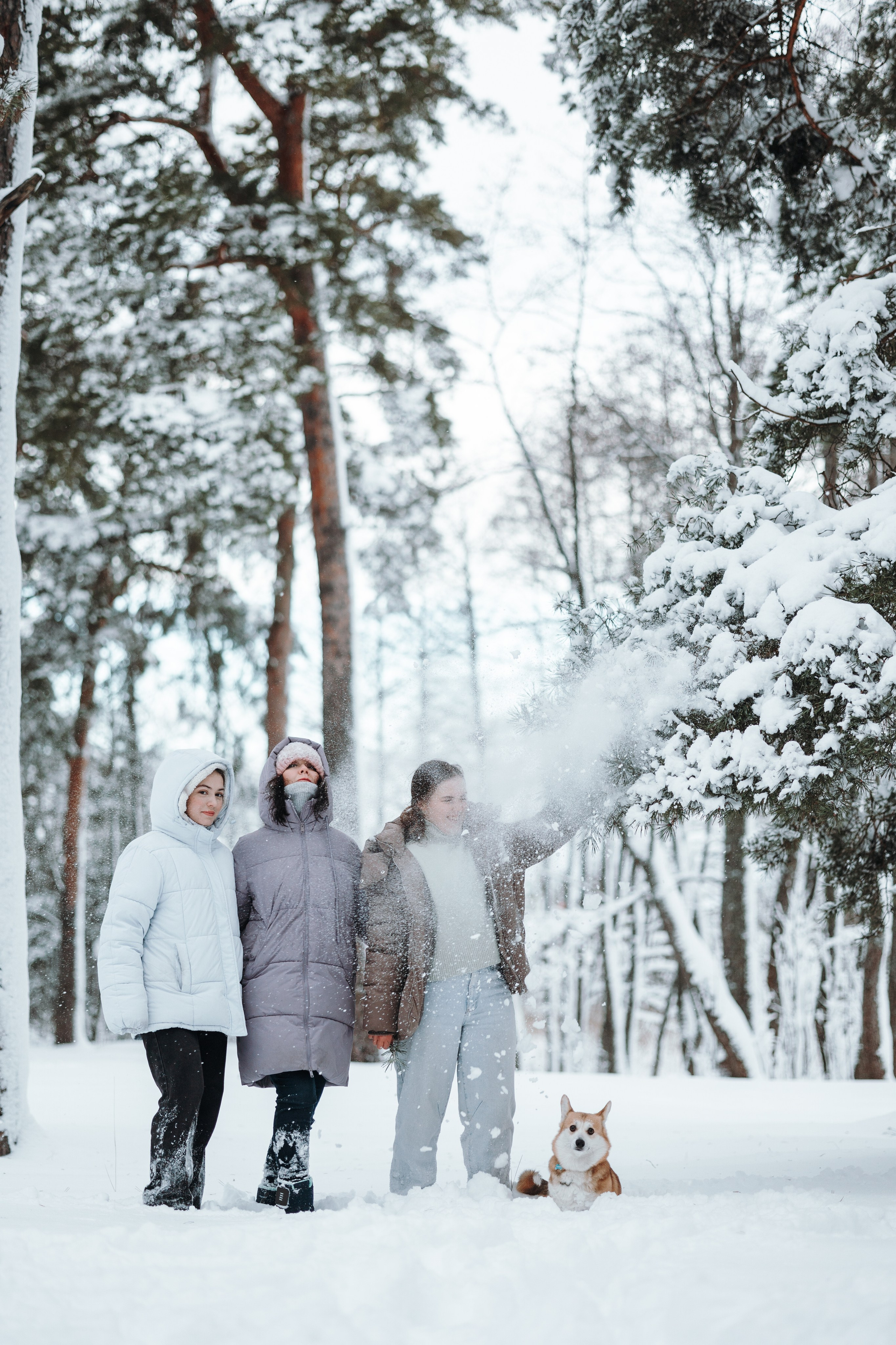 Оливка и ее семья. Фотограф — Анималист | Санкт-Петербург