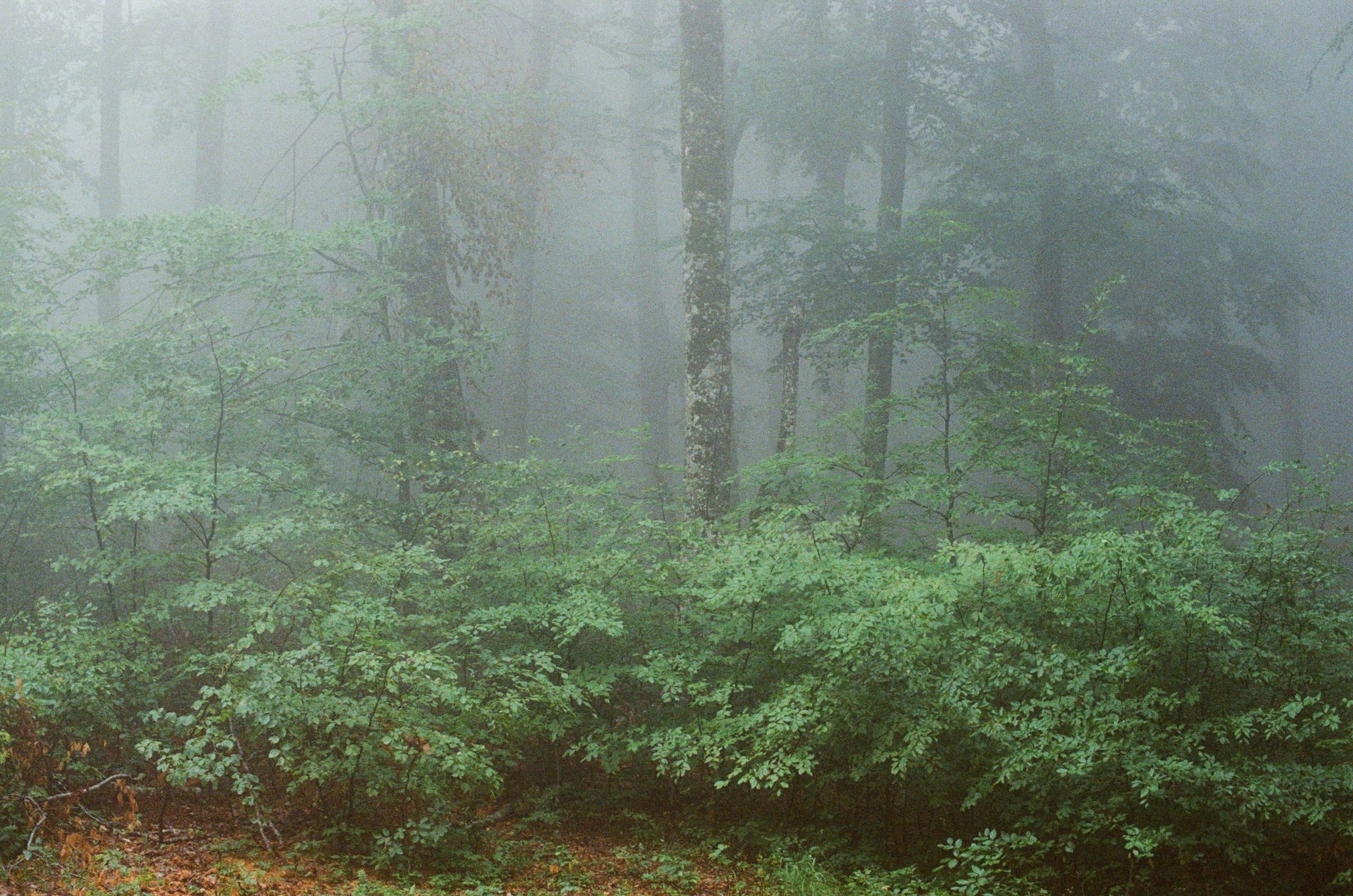 Dig it // ukraine, crimea II. EVER EXPOSED