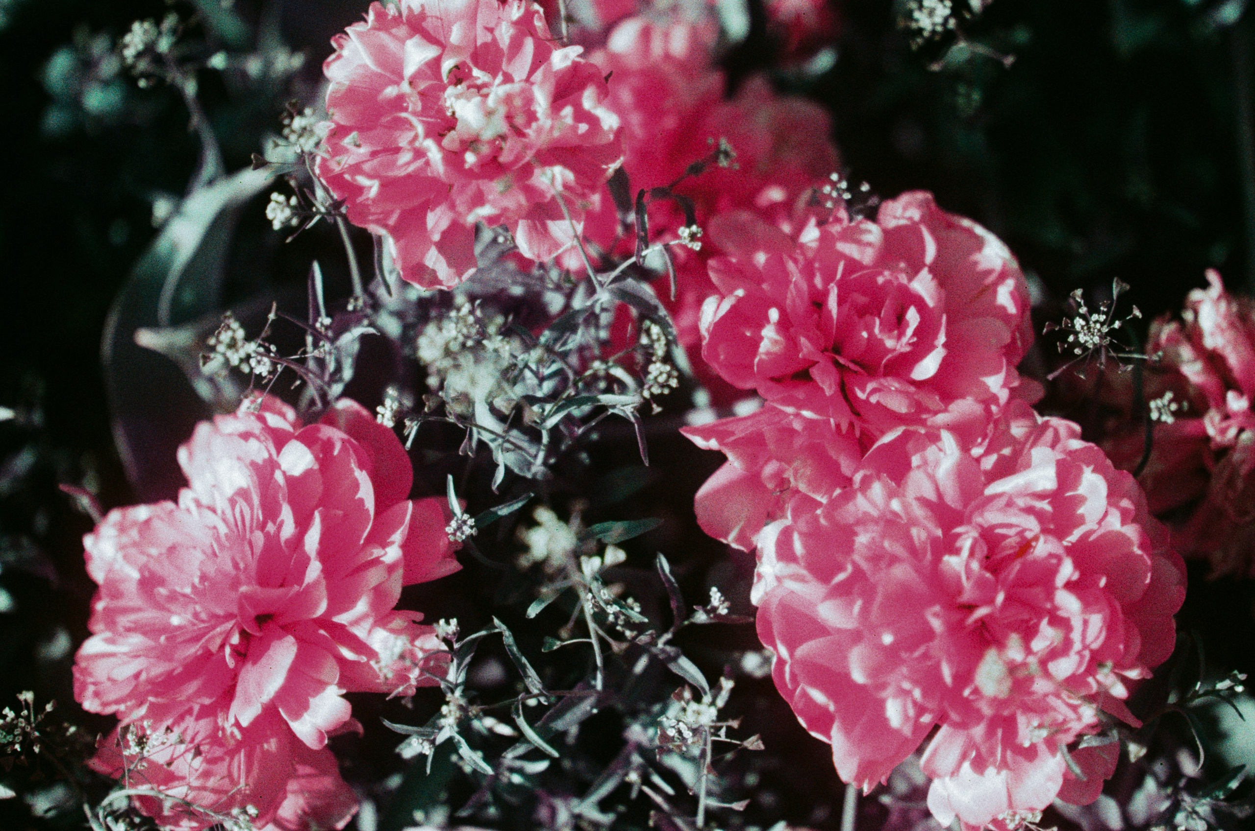 Press enter to exit // ukraine, crimea X. EVER EXPOSED