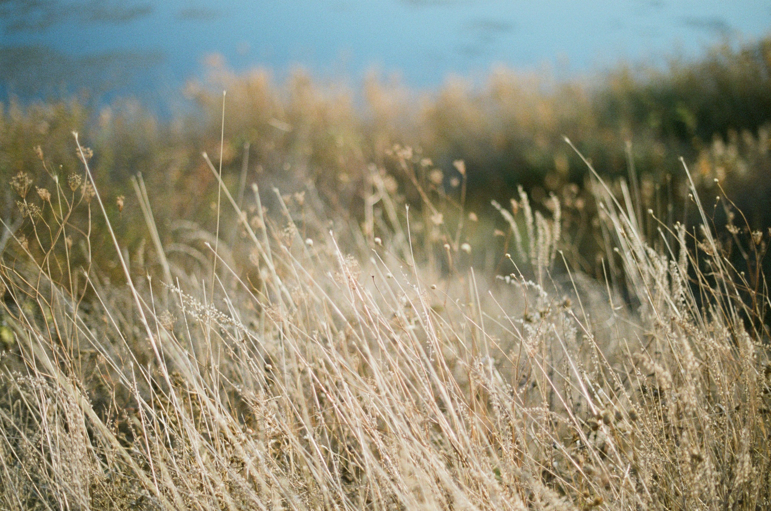 Wherever you will go // ukraine, crimea III. EVER EXPOSED