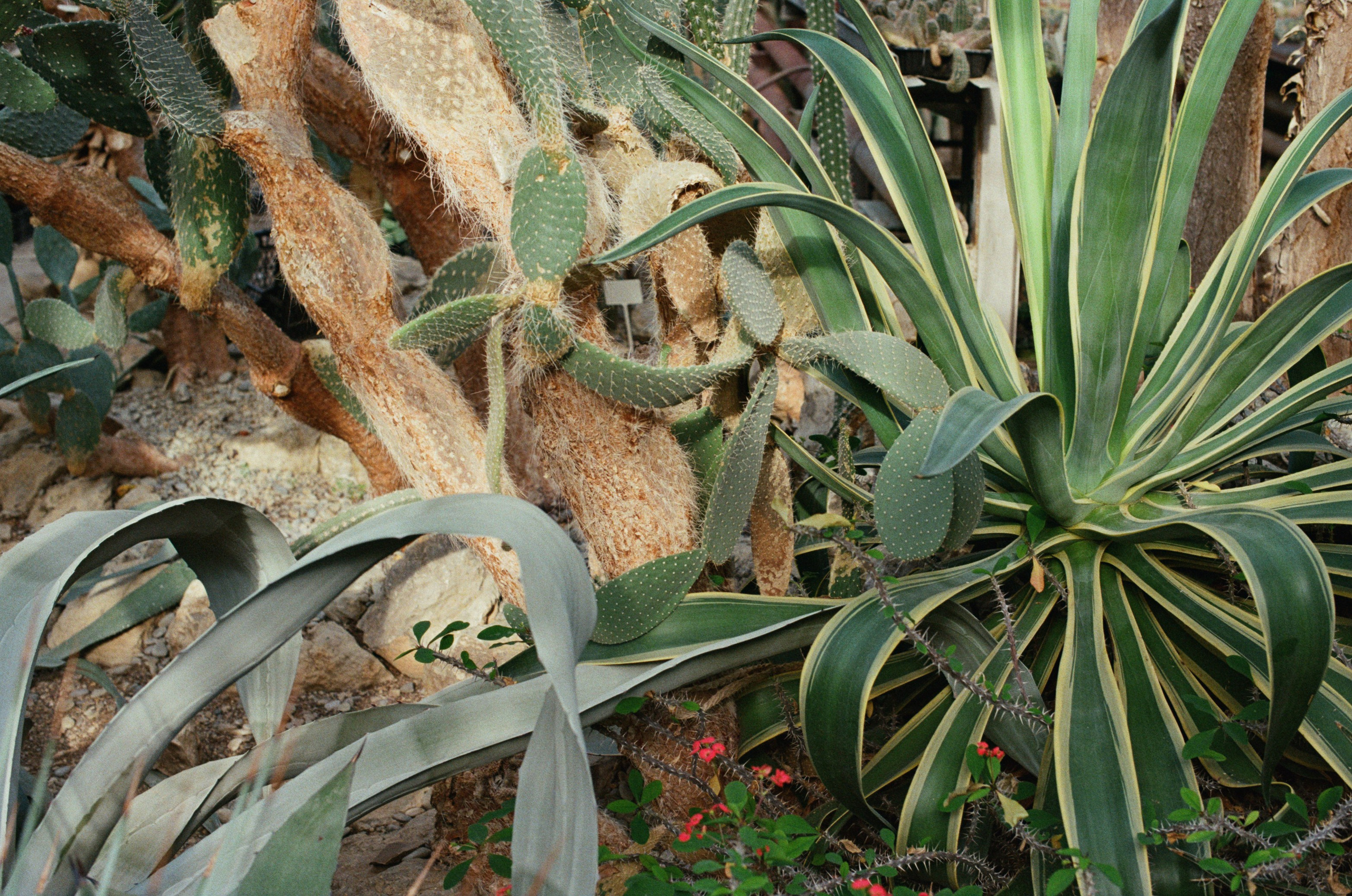 This time // ukraine, crimea III. EVER EXPOSED