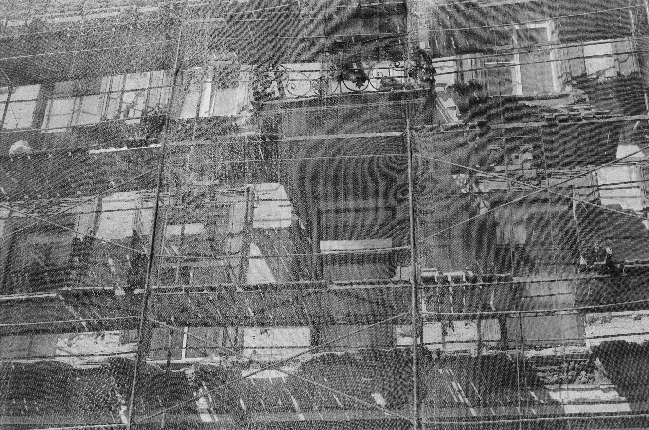 Black dog petersburg // st.-petersburg. EVER EXPOSED