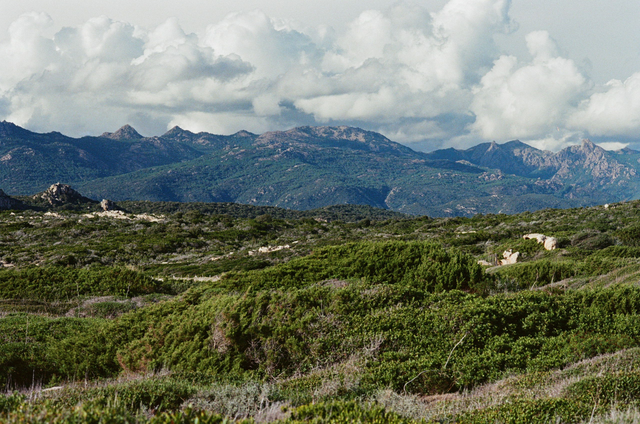 Silence is also an answer // corsica III. EVER EXPOSED