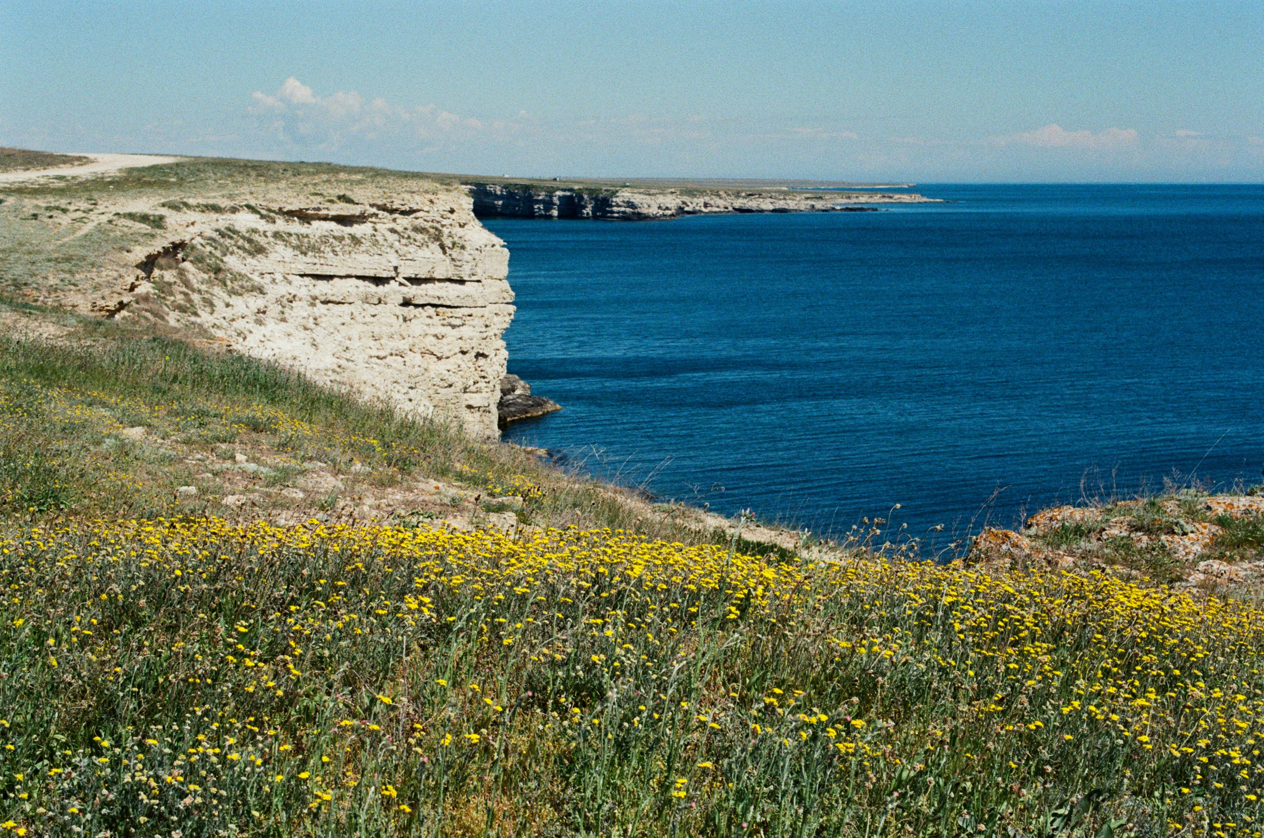 The drugs don't work // ukraine, crimea. EVER EXPOSED