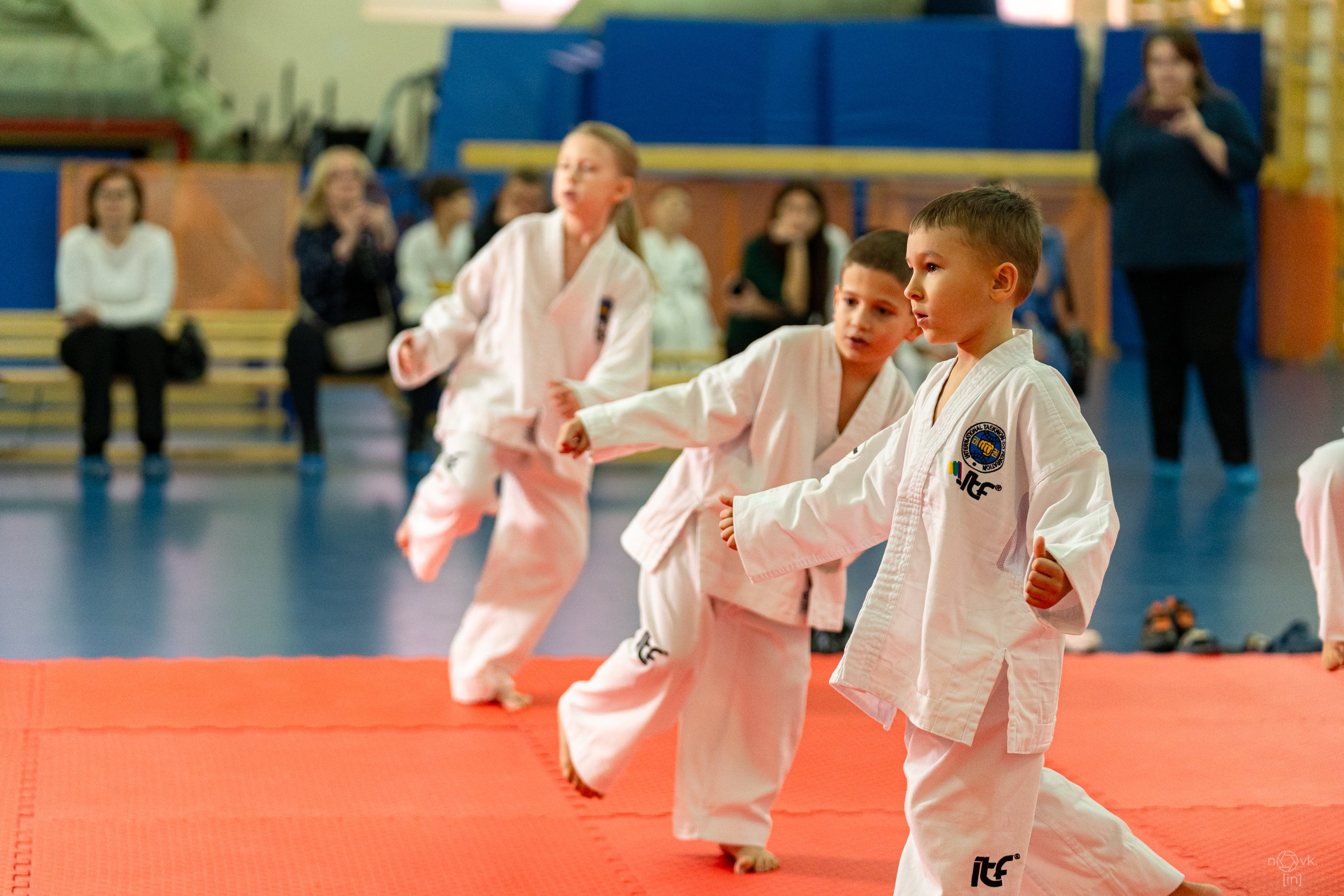 Аттестация Тхэкво. ФОТОГРАФ ИВАН НОВИКОВ | СТАВРОПОЛЬ